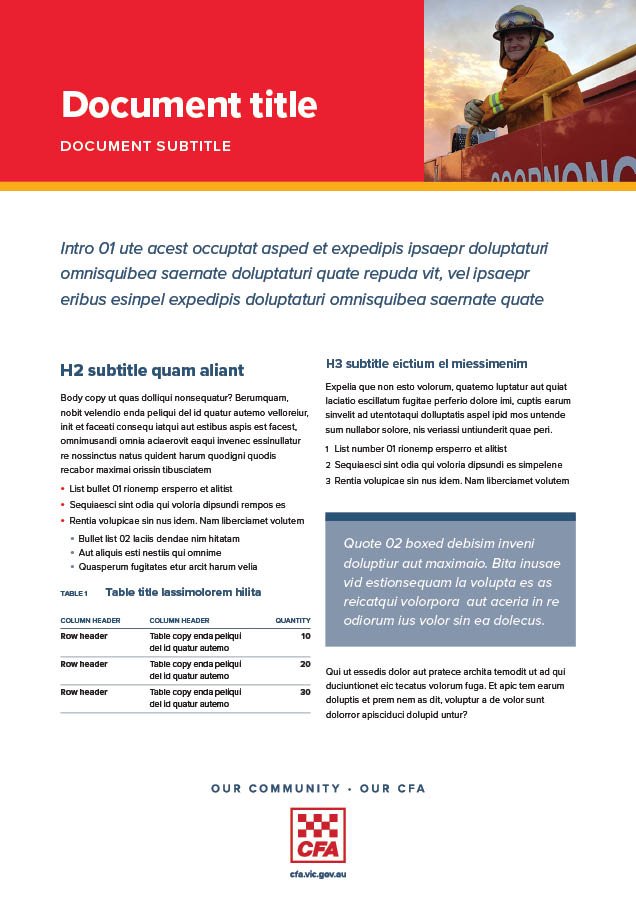 cfa pub flyer 01 .jpg