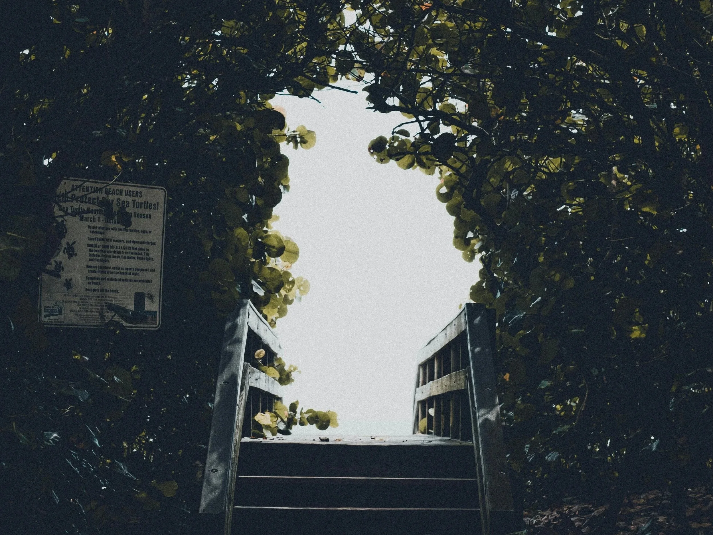 How Long Does Trauma Therapy Take After Assault or Abuse?