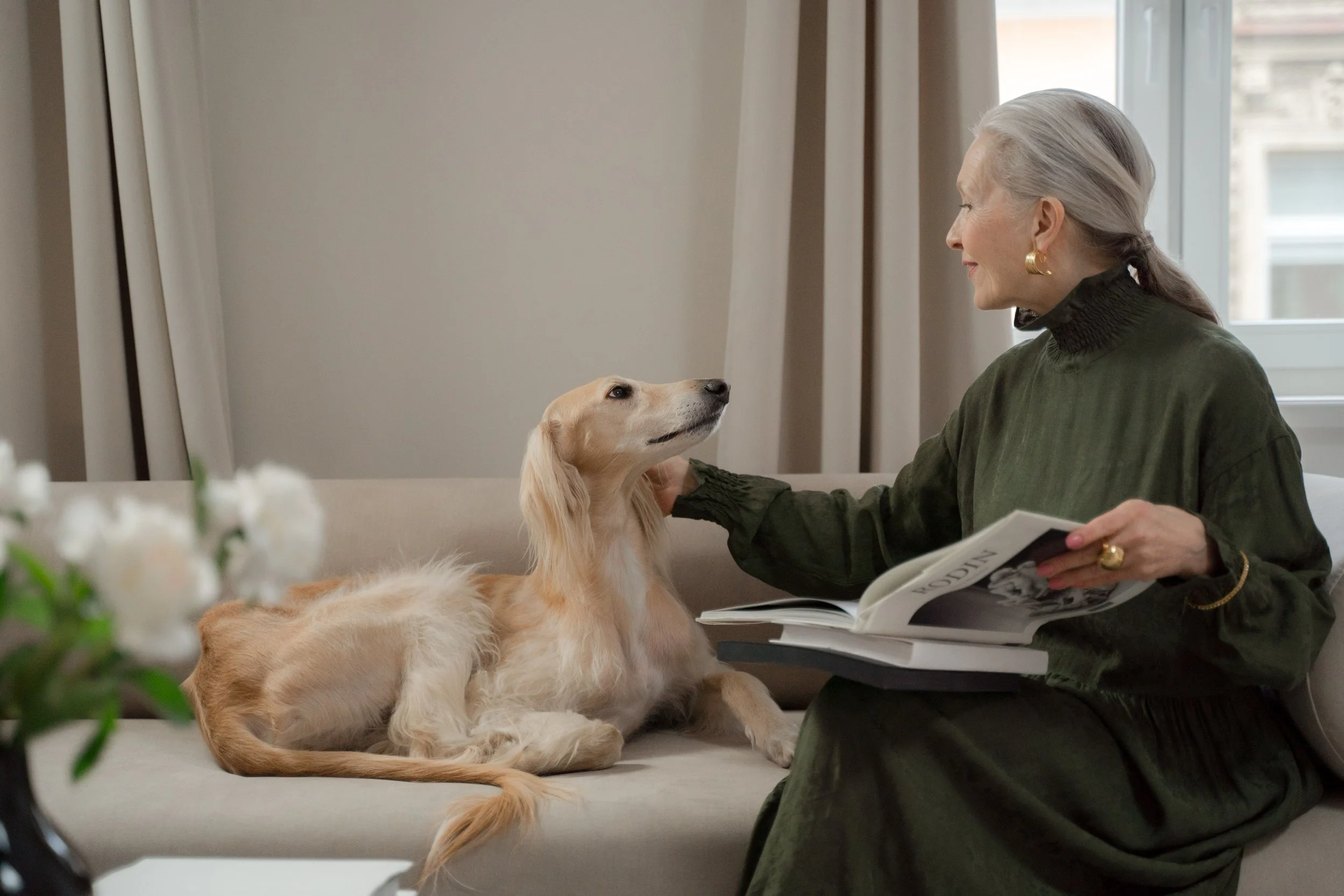 Person sharing a quiet moment at home with a beloved senior dog
