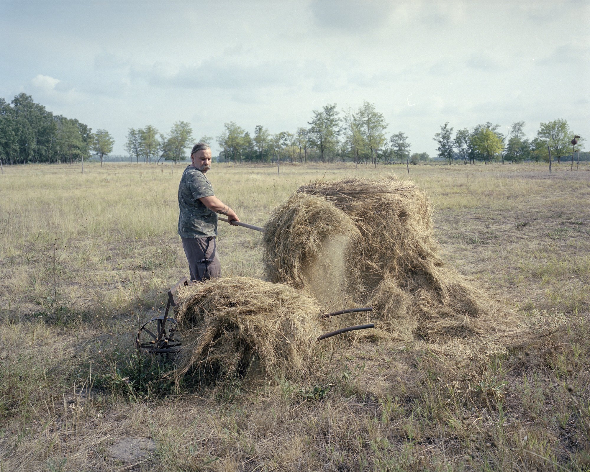  László Kulcsár preparing food for his horses. Fields were not mowable this year due to early drought. Kunszentmiklós, Hungary 2022 