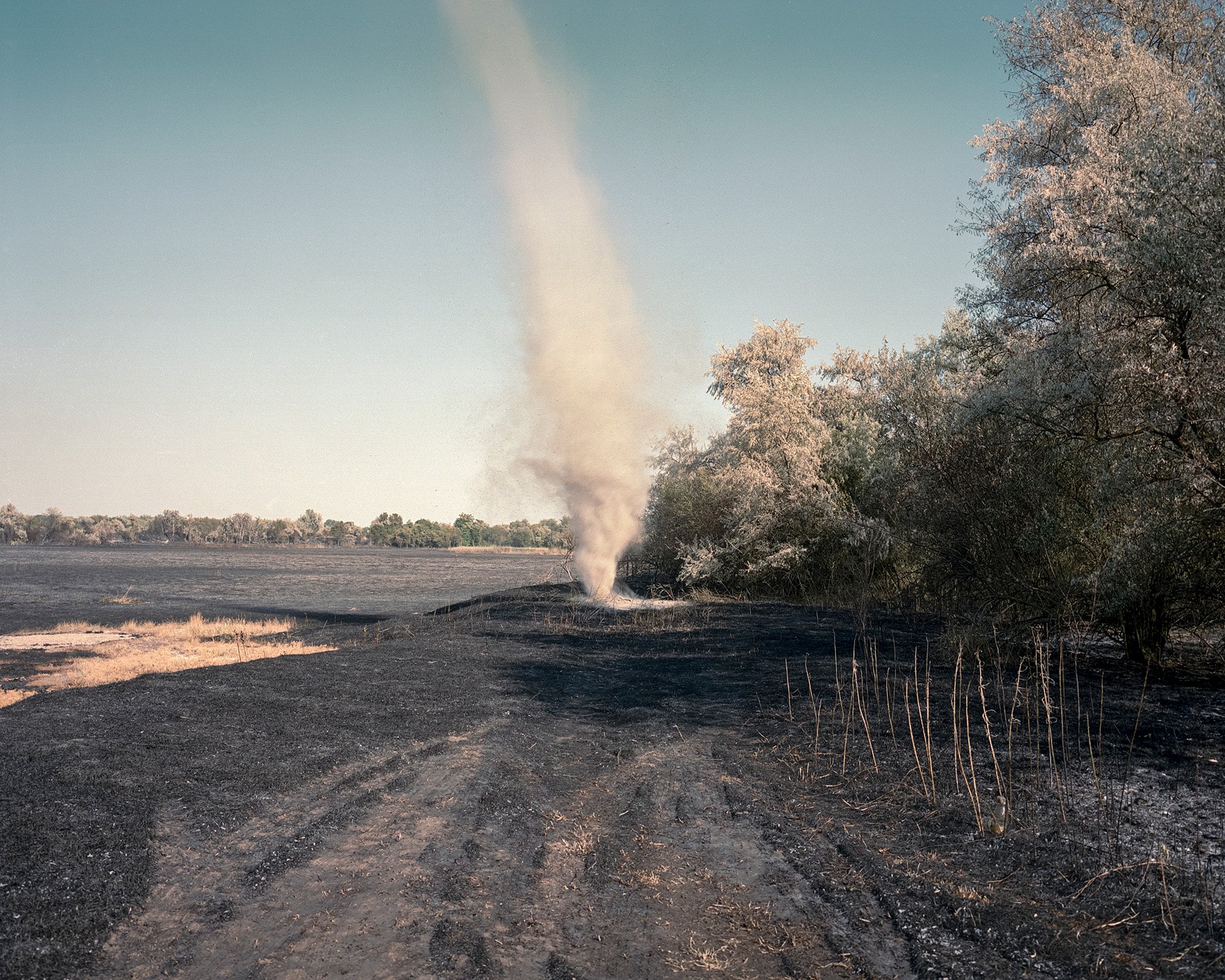  Aftermath of a reed fire  Szeged, Hungary, 2022 