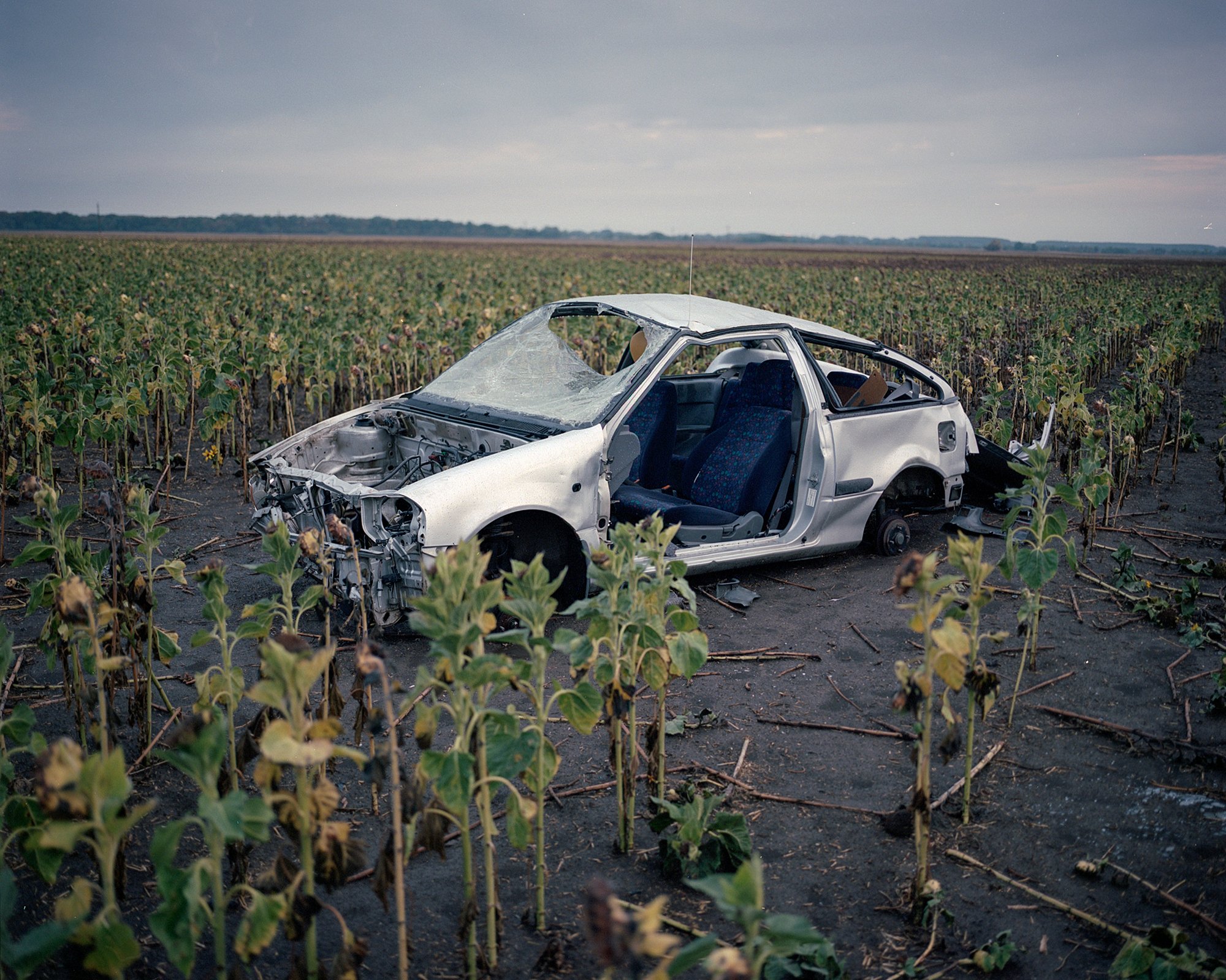  Broken car on sunflower field Martfű, Hungary, 2022 