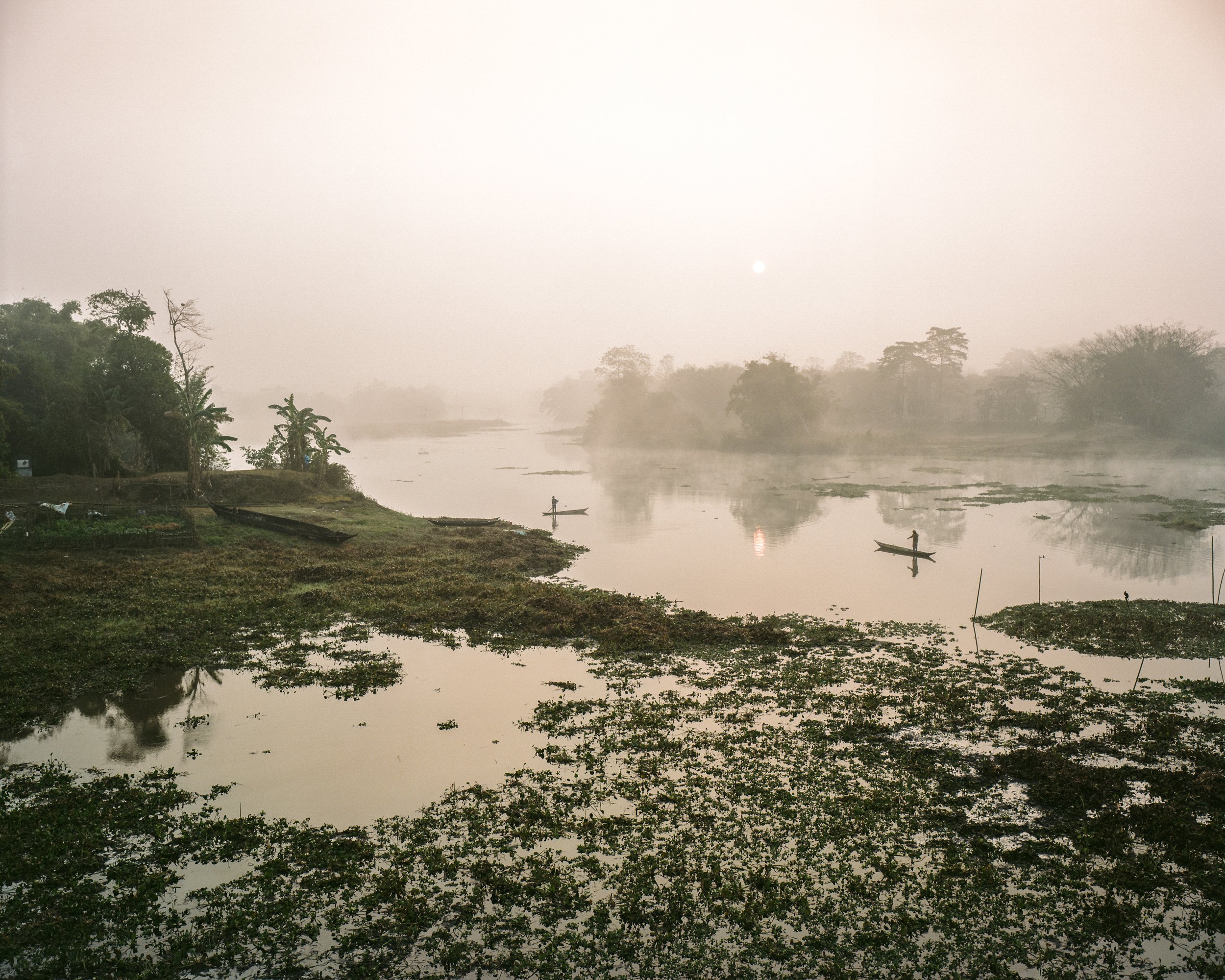   Morning view of inland swamp lakes in Majuli between the two biggest village Gara- mur and Kamalabari. Humans and environment have been in dynamic relationship on the island for a long time ago. People adapted to the river’s annual rhythm, though, 
