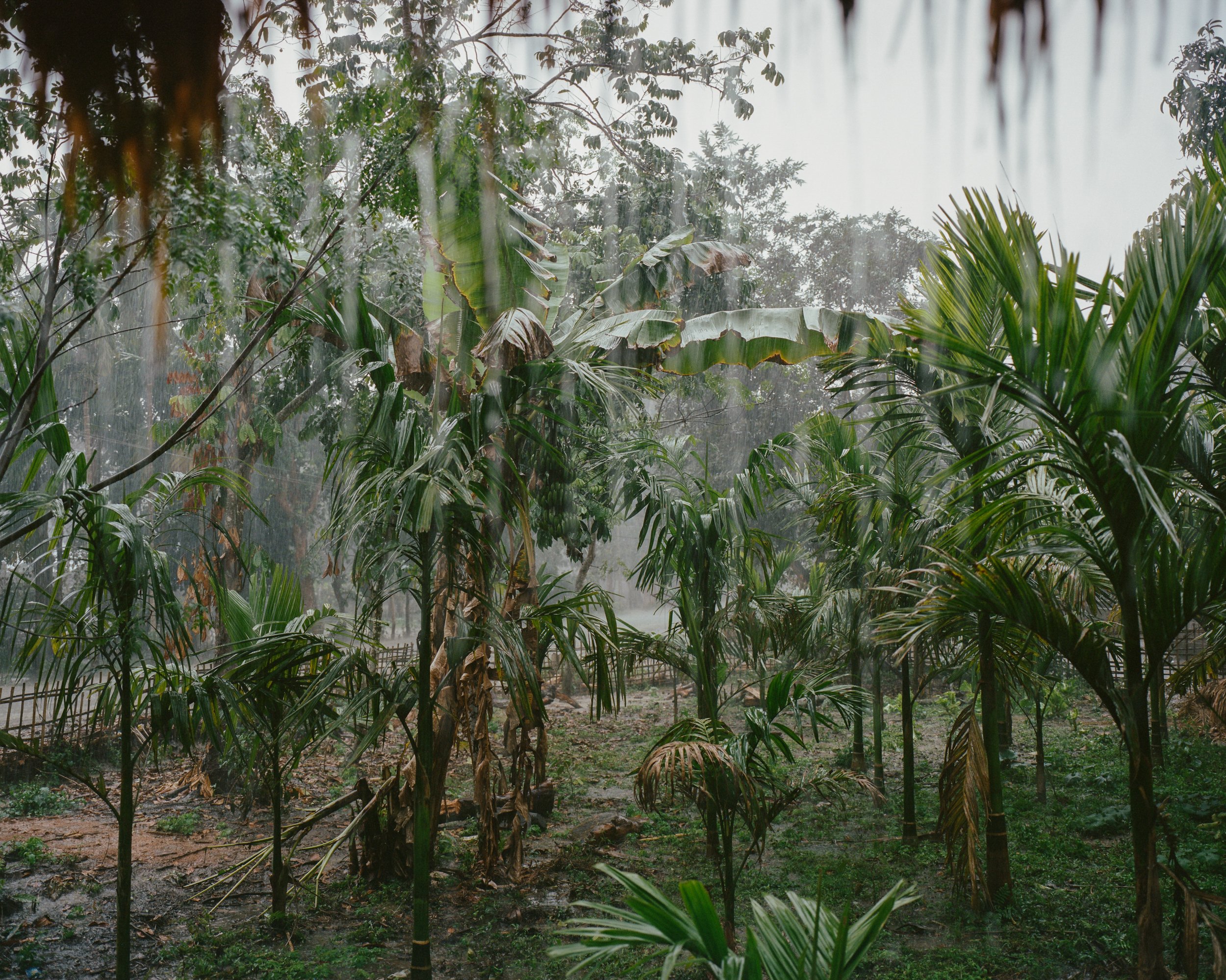  Rain is one of the most important forces shaping the island that locals see as a divine blessing and await the arrival of the monsoon to fill their paddy fields with water. However, the amount of precipitation also swells the Brahmaputra and makes i