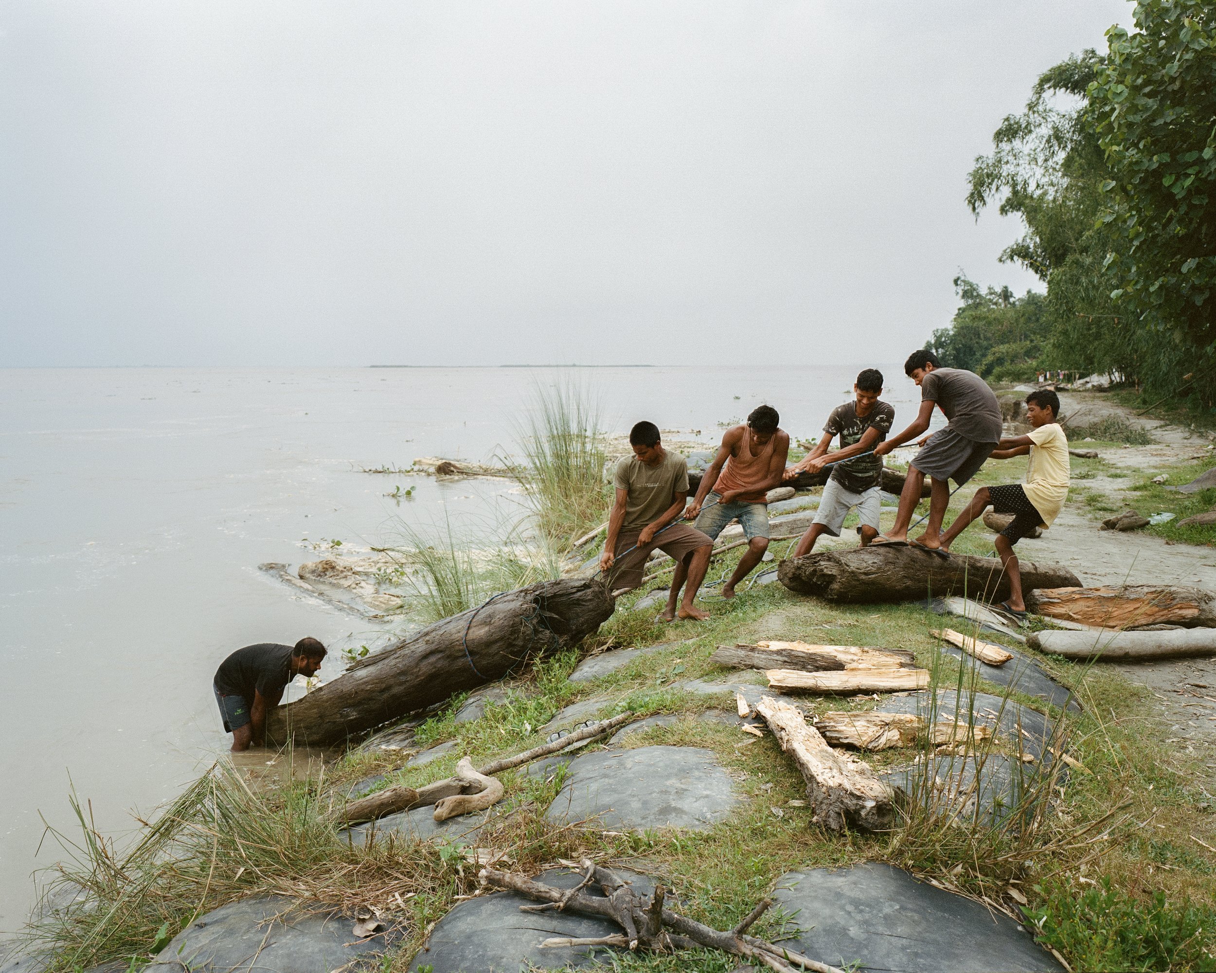   The only income during the monsoon season is to catch huge logs that can be sold later on. Villagers helping to pull out a hundreds of kgs piece from the Brahmaputra. After drying and chopping them they can sell for a decent price.    Ahato Guri, M