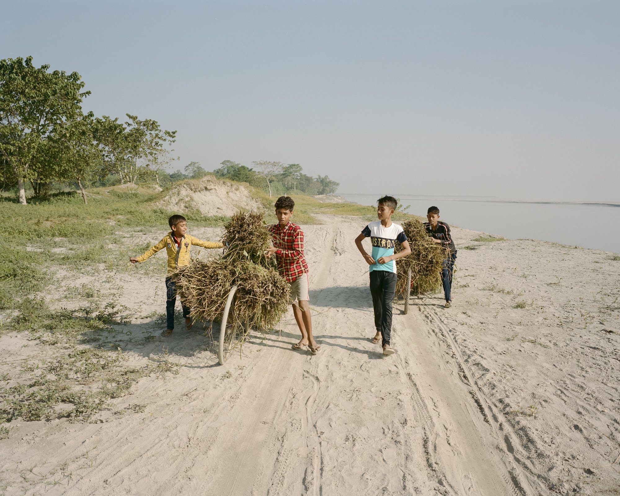   Gitartha Chamuah and her brothers carry home the straw needed to burn the clay, which was recently collected from the vegetation in the floodplain.    Salmora, Majuli, India — 2021  