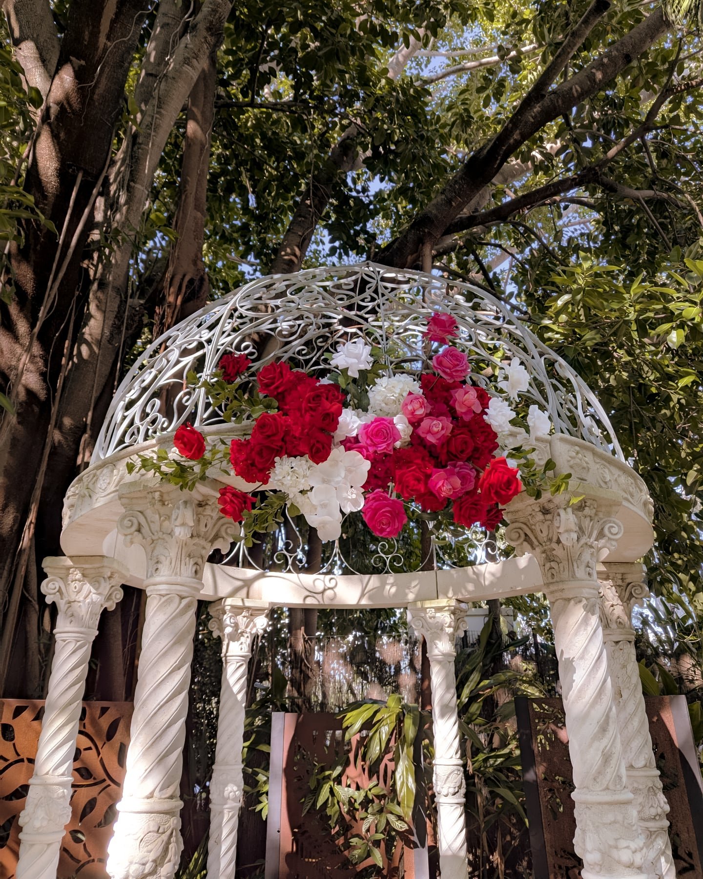Some pinks, reds and whites for this boulevardgardens 🩷

Venue @boulevardgardens
Professional photos @willideastudio
Celebrant @brisbaneweddings 
Hair @candice_stylecreations 
Make up @beautybyheather 
Dress @luvbridal 
Bridesmaids dresses @modelchi