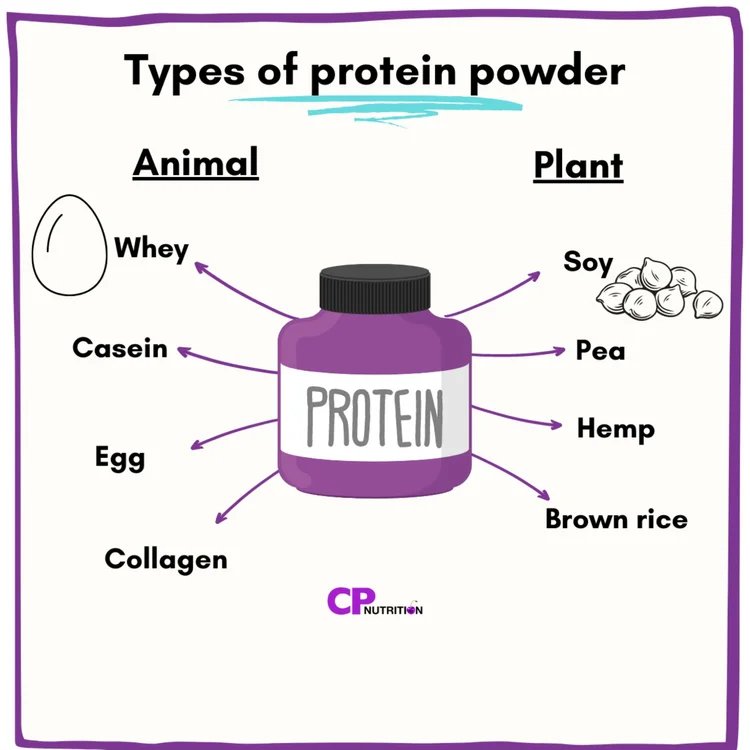 Protein powder for PCOS Are some better than others? — Claire Pettitt CP Nutrition