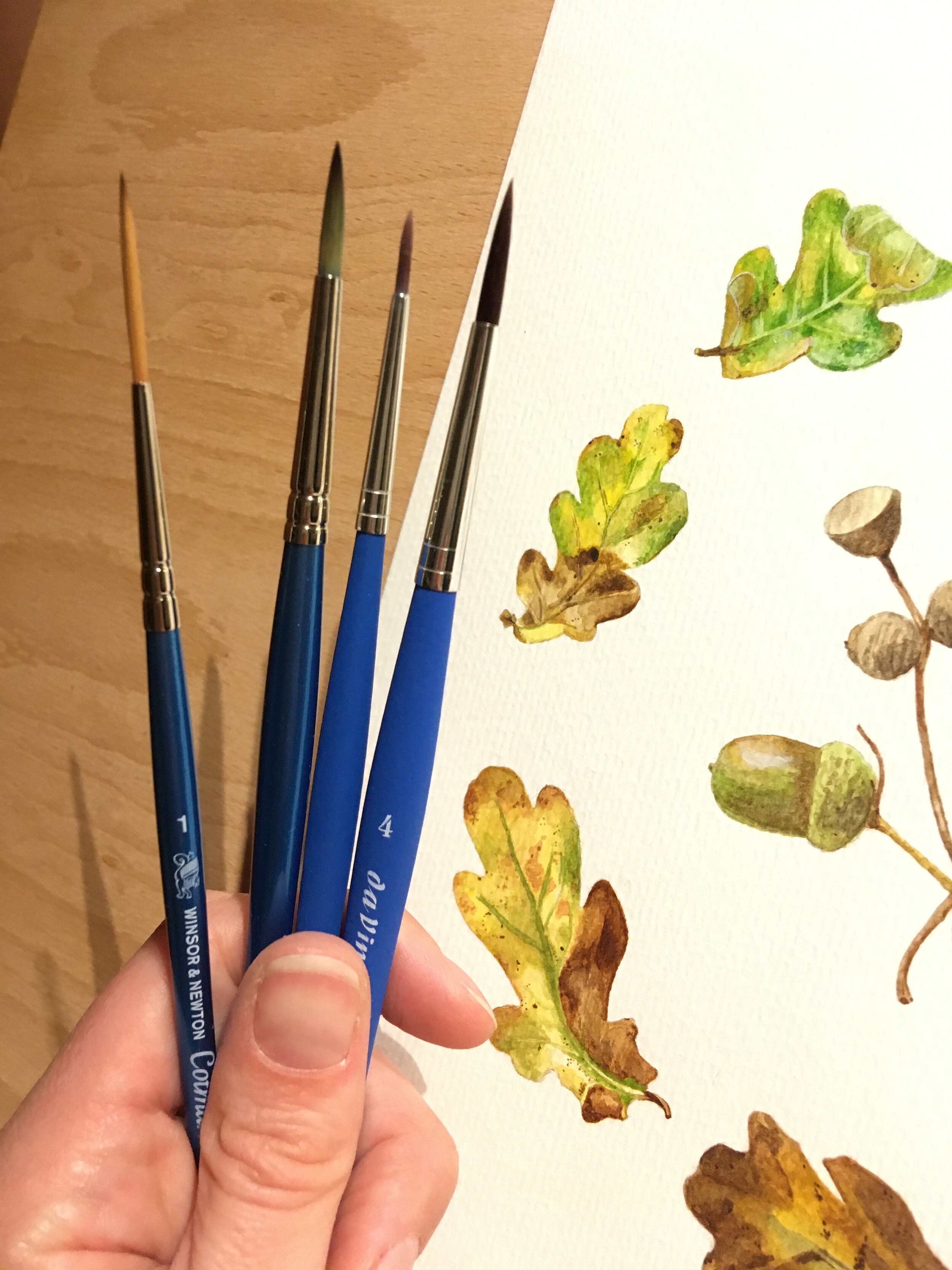 Watercolour brushes with autumn leaf watercolour painting