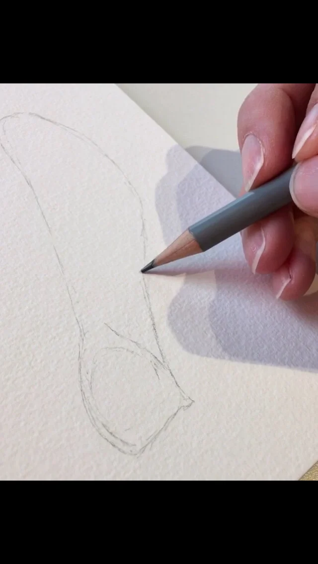 Graphite pencil drawing of a helicopter seed