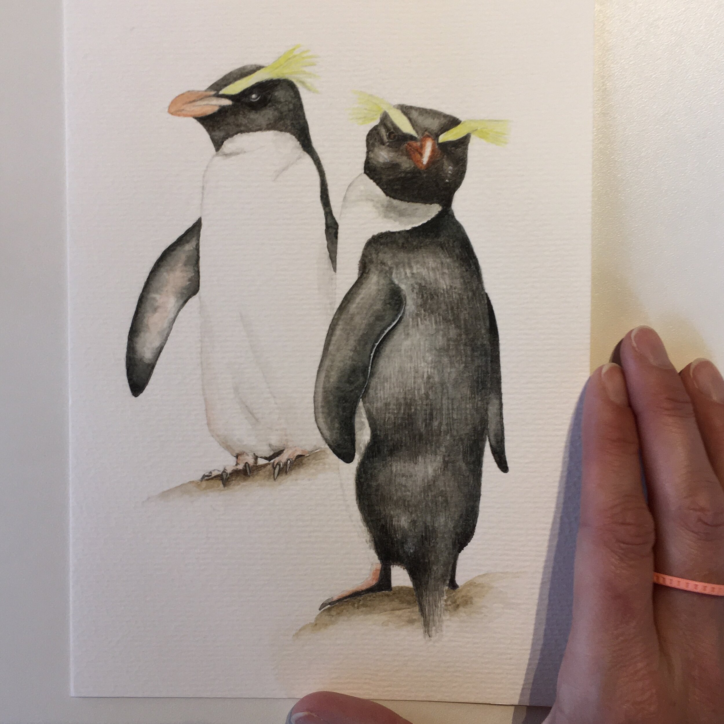 Fiordland Crested Penguins watercolour painting