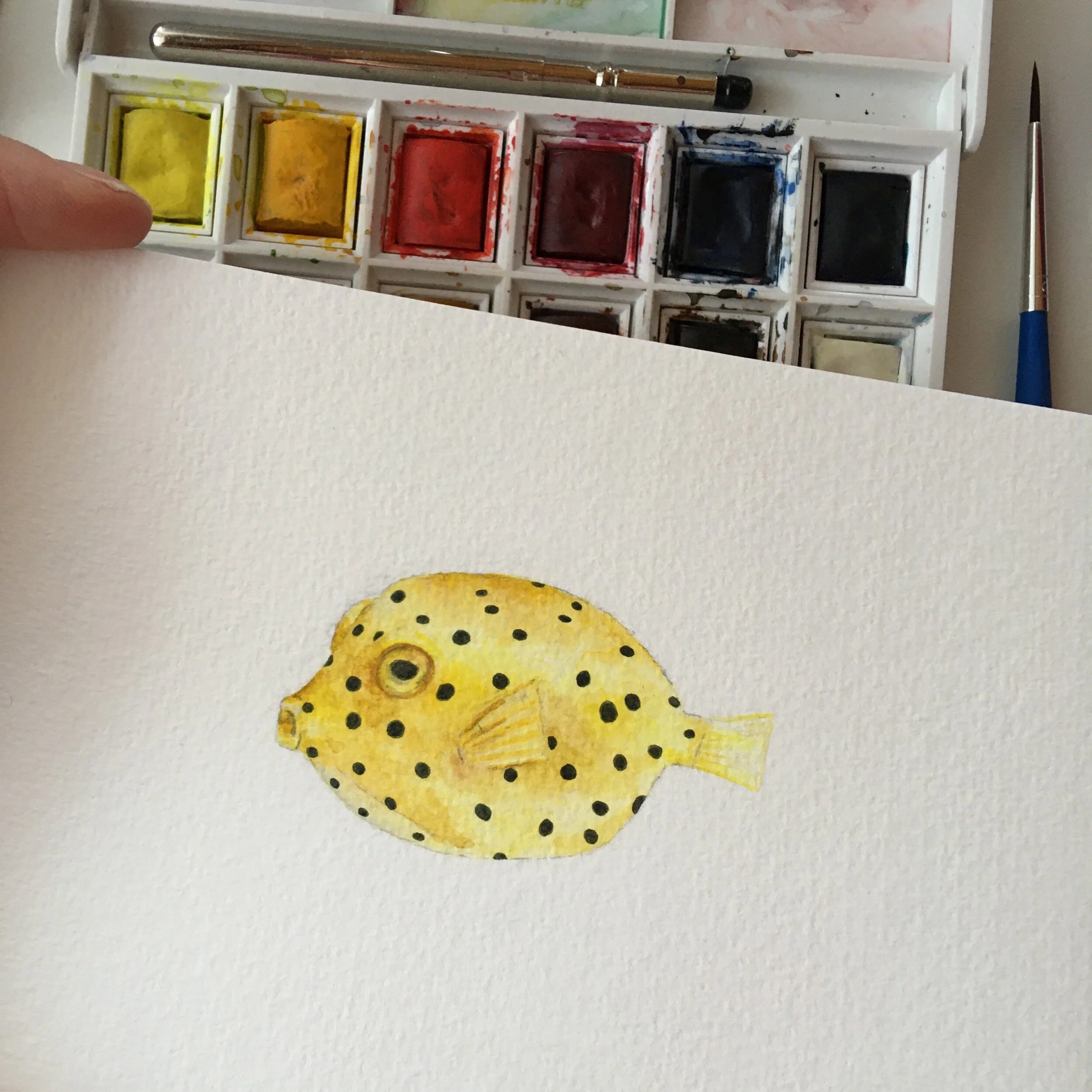 Baby yellow boxfish watercolour painting
