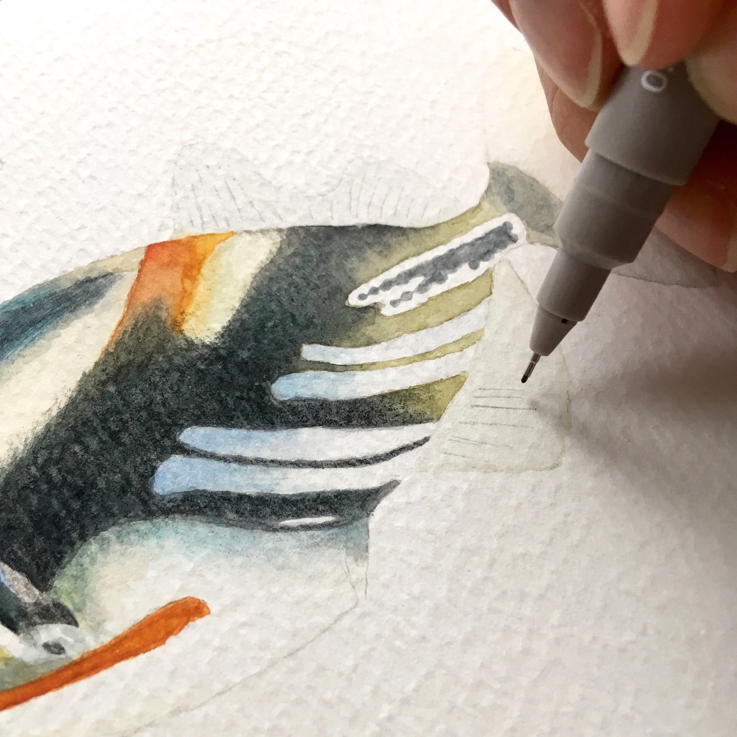 Painting in progress of a Picasso fish