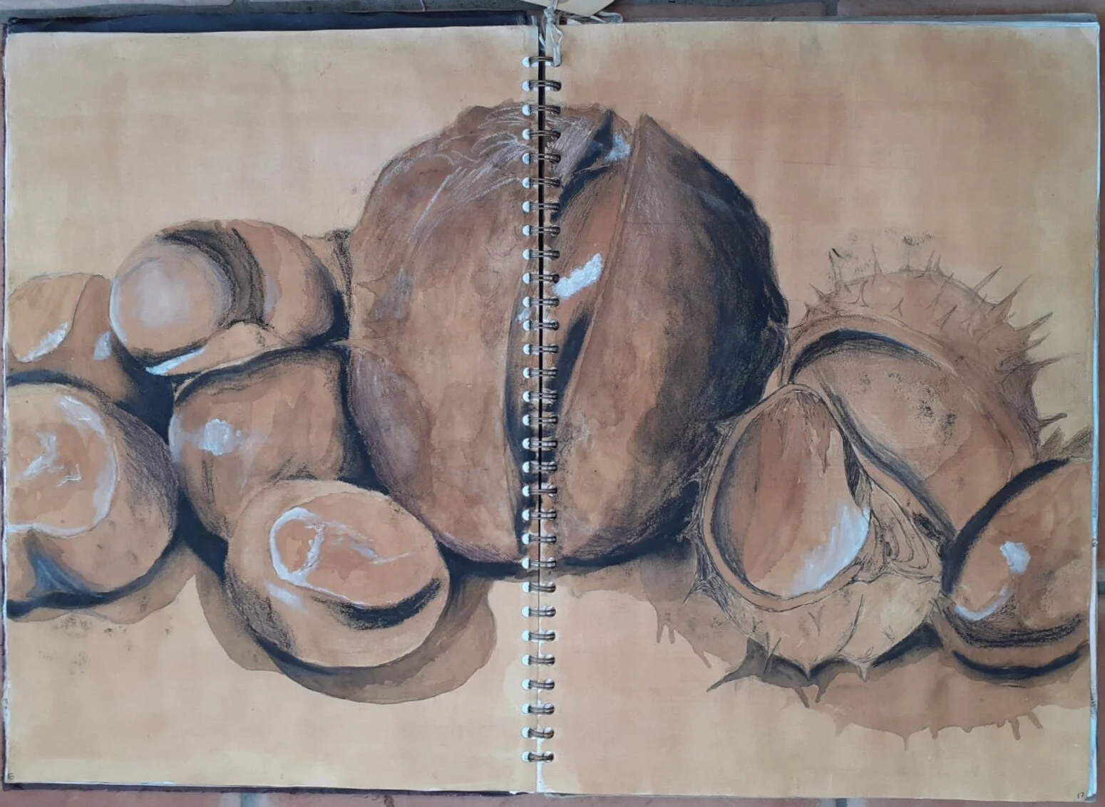 Conkers (mixed media, circa 2004)