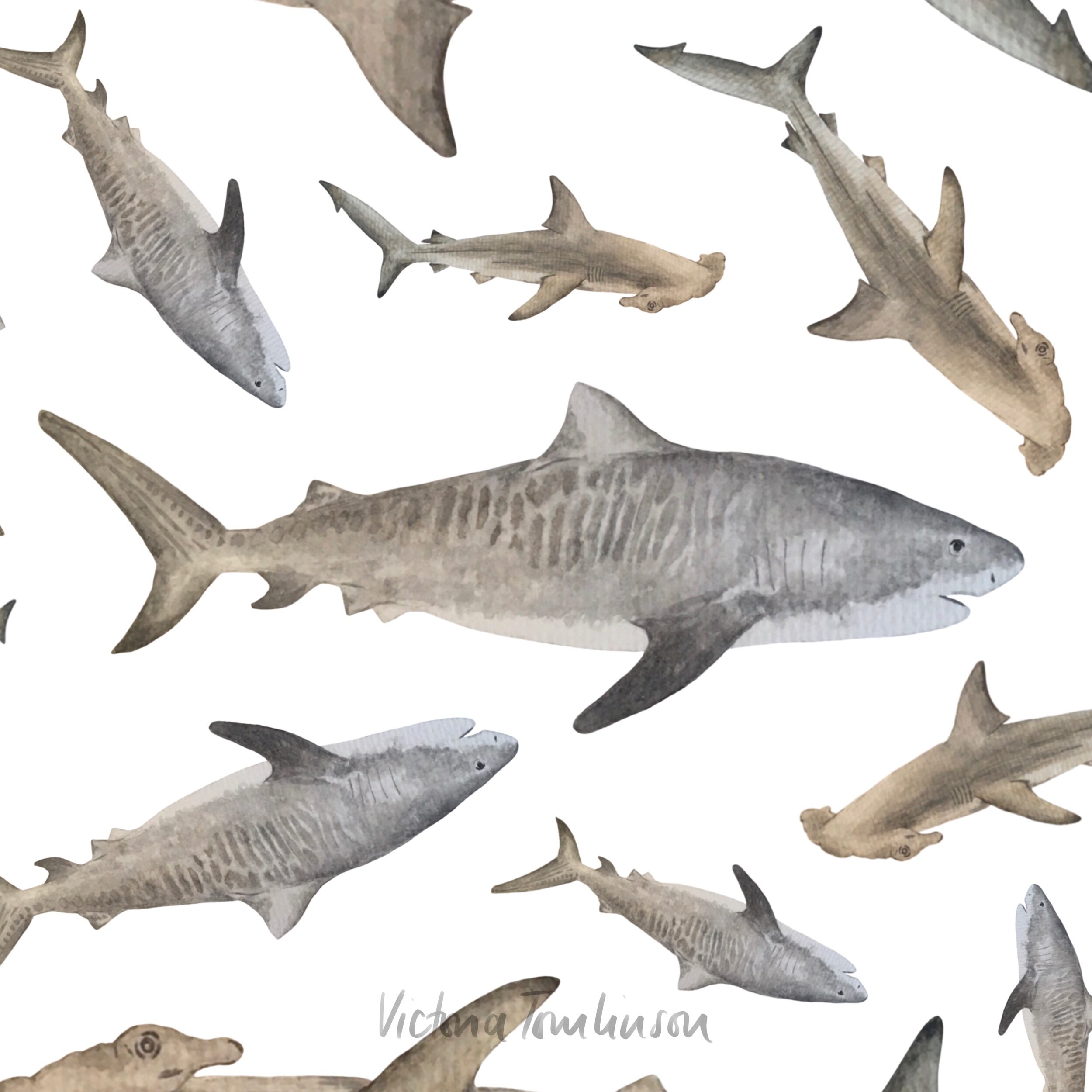 Tiger shark with Hammerheads pattern 