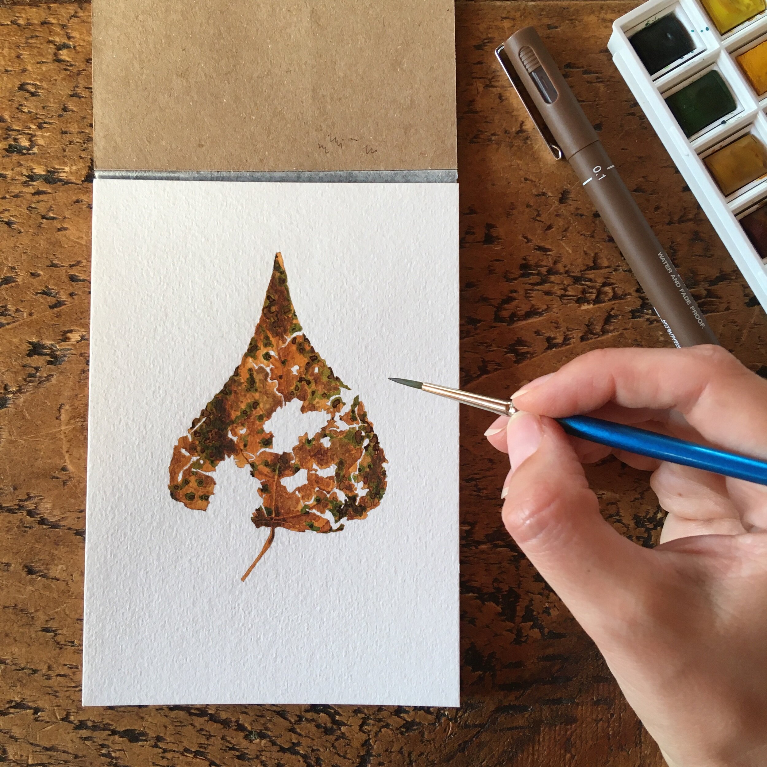 Watercolour painting of a decaying and broken leaf - Natural History observation