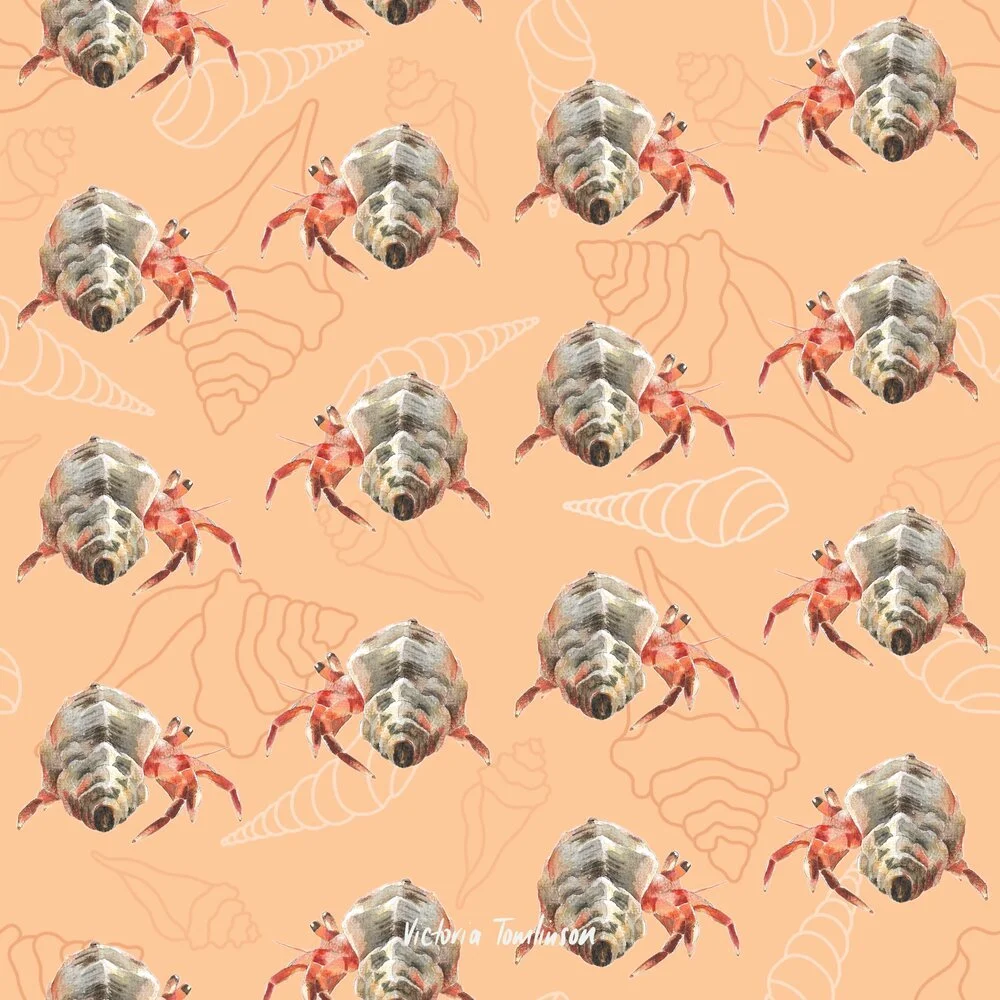 Our Planet Week - Original Peach Hermit Crabs.jpeg