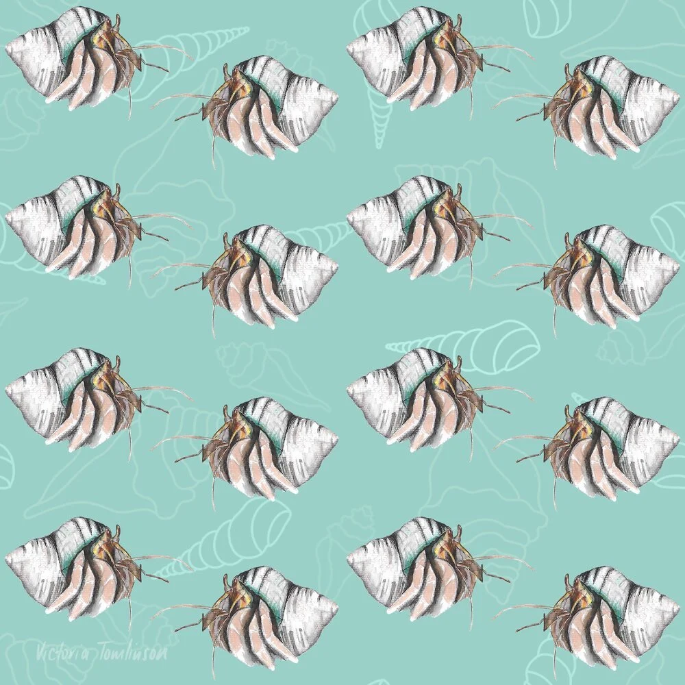 Our Planet Week - Turquoise Hermit Crabs.jpeg