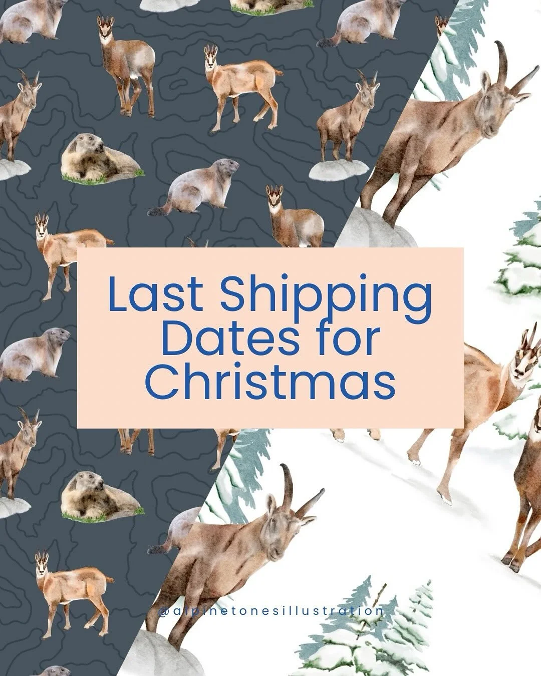 Don&rsquo;t miss out on last orders before Santa&rsquo;s sleigh flies away! 🎅🏻🛷

These are the Last Shipping Dates for Christmas:

Ist December - Last clothing orders
7th December - Last orders for the UK
18th December - Last orders within Switzer