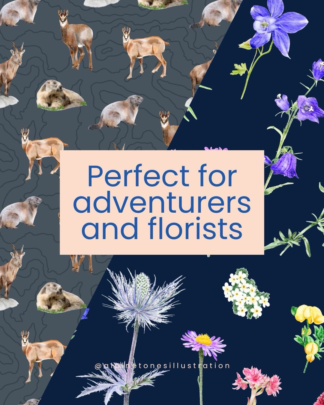 ➡️ Swipe through for a selection of your favourite items for adventurers and florists. Plus join my mailing list to be the first to know about new releases!