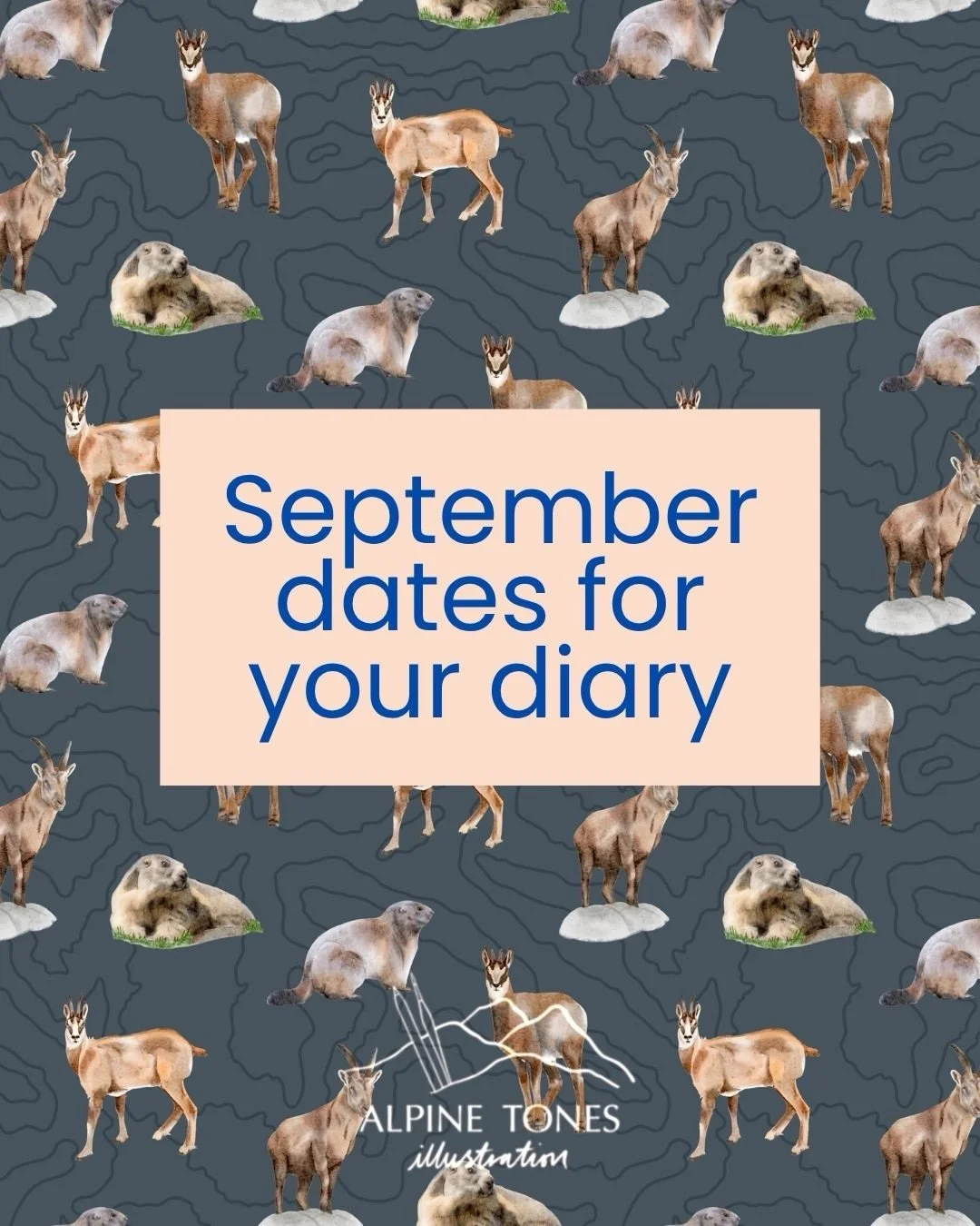 ✨ Change of plans! ✨

You may have seen some of these dates previously listed as Walk &amp; Watercolour Workshops which focused on painting the local wildflowers. I&rsquo;ve switched all of September&rsquo;s workshops to Watercolour Landscapes to foc