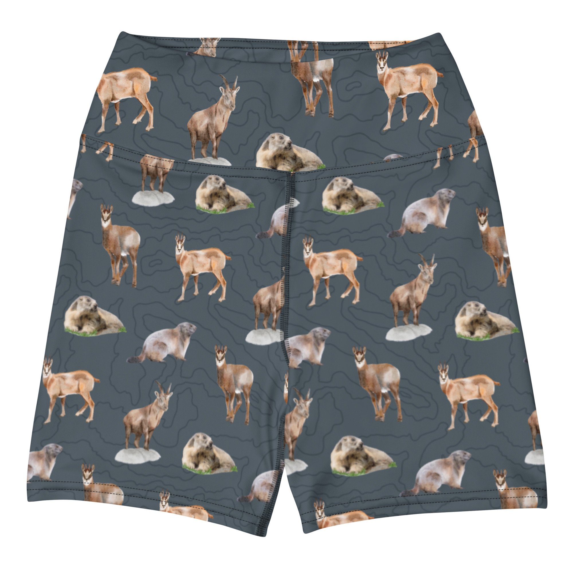 Alpine Animals shorts front.jpg