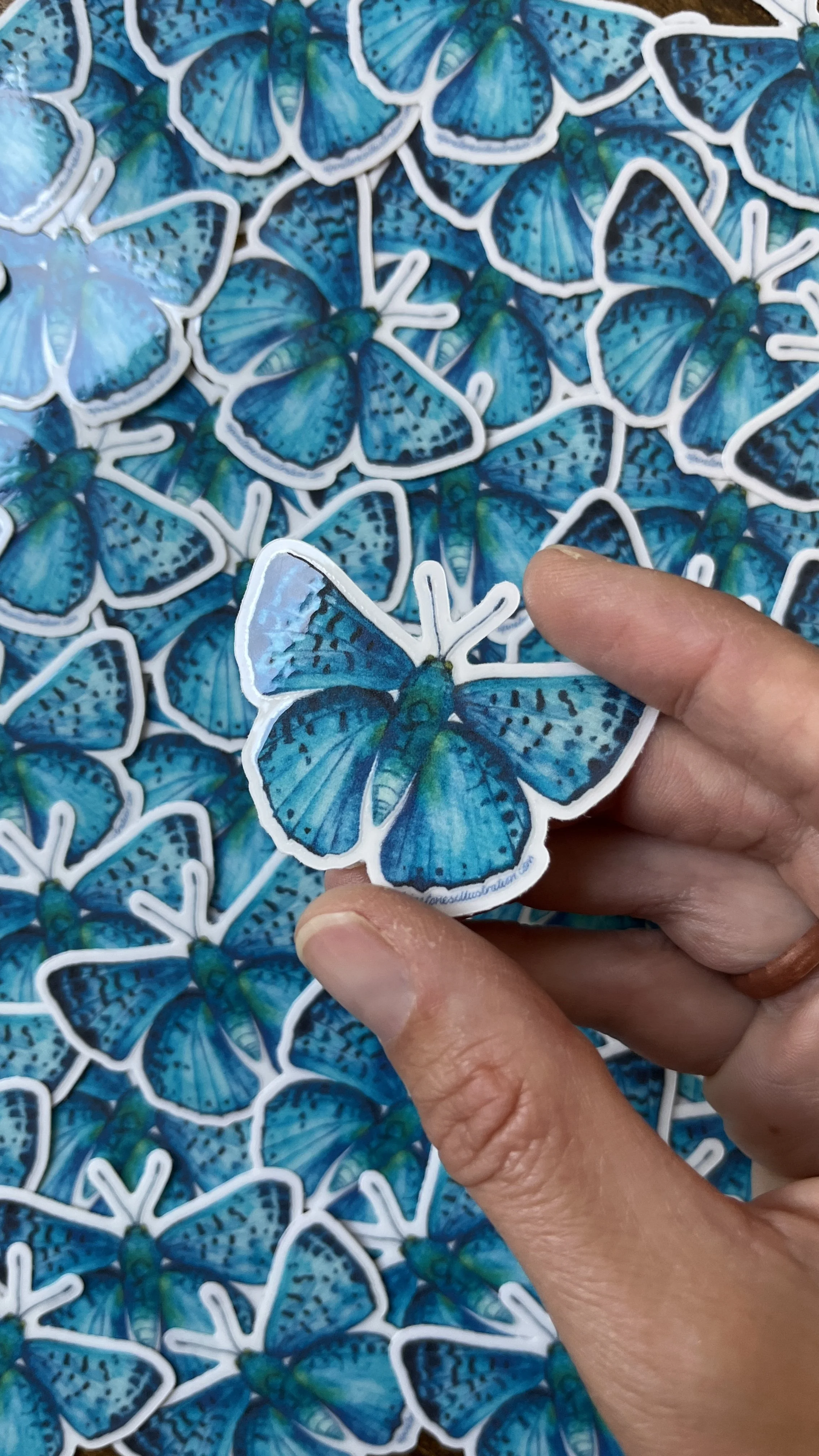 Watercolour butterfly stickers.JPG