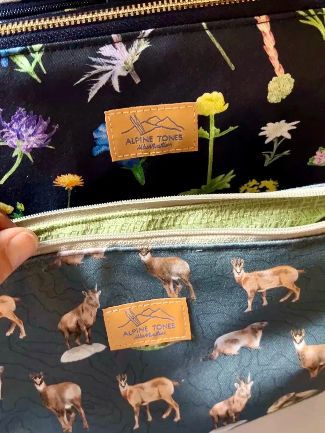 Large+Pouches+-+Alpine+Tones+Illustration.jpg