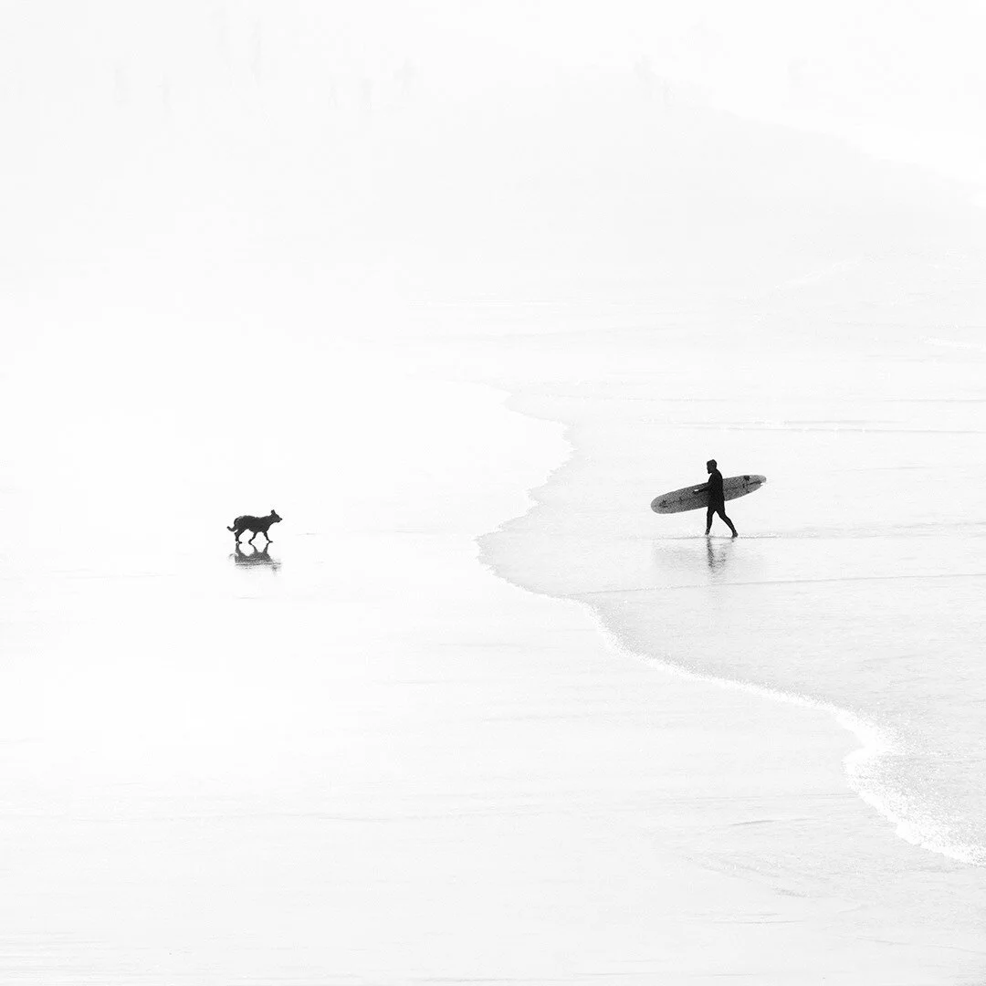 return⁠
⁠
⁠
⁠
⁠
#minimalism #minimalpeople #tv_simplicity #rsa_fog #tv_foggy #mistyfoggymilkymoody #fogstagram #surfart #surfphotography #waterandlight #surferphotos  #surfsomething #coldwatersurf #coldwatersurfing #_rsa_minimal #mist_bestshots #somb