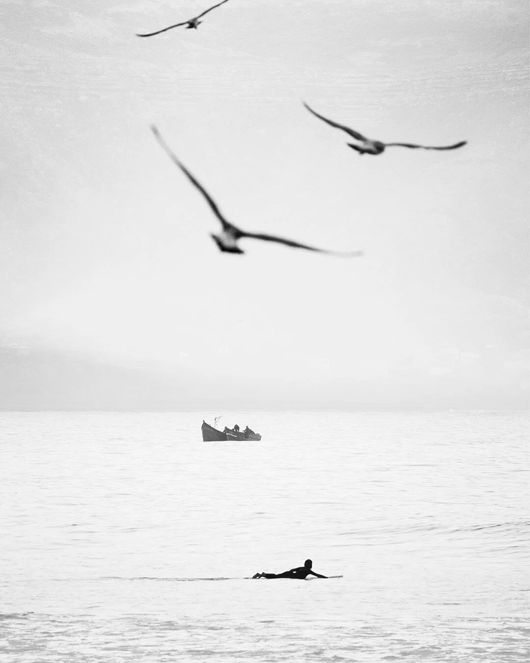 small memory⁠
⁠
⁠
#mistauthentic #mistyday #seamist #mist_bestshots⁠
#rsa_fog #mistyfoggymilkymoody #fogstagram #surfer #surfingiseverything #wave #surfcornwall #all_bnwshots #simply_noir_blanc #bnw_legit #lookingup_bnw⁠
12wReply