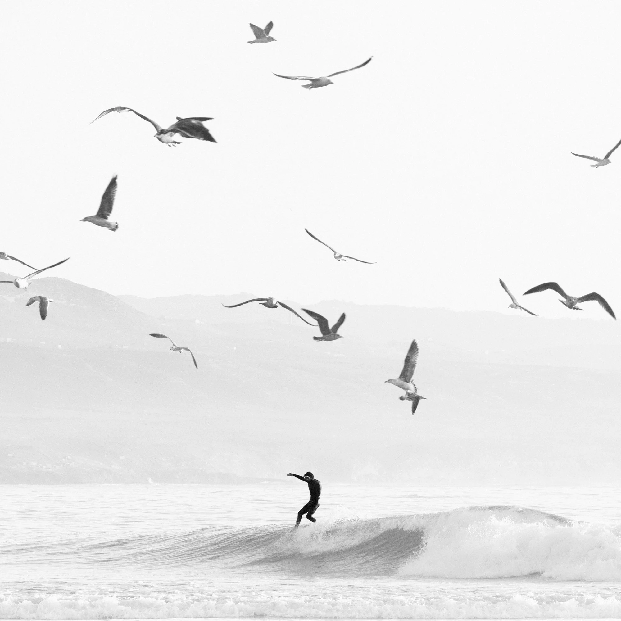 I Could Fly Home, With My Eyes Closed