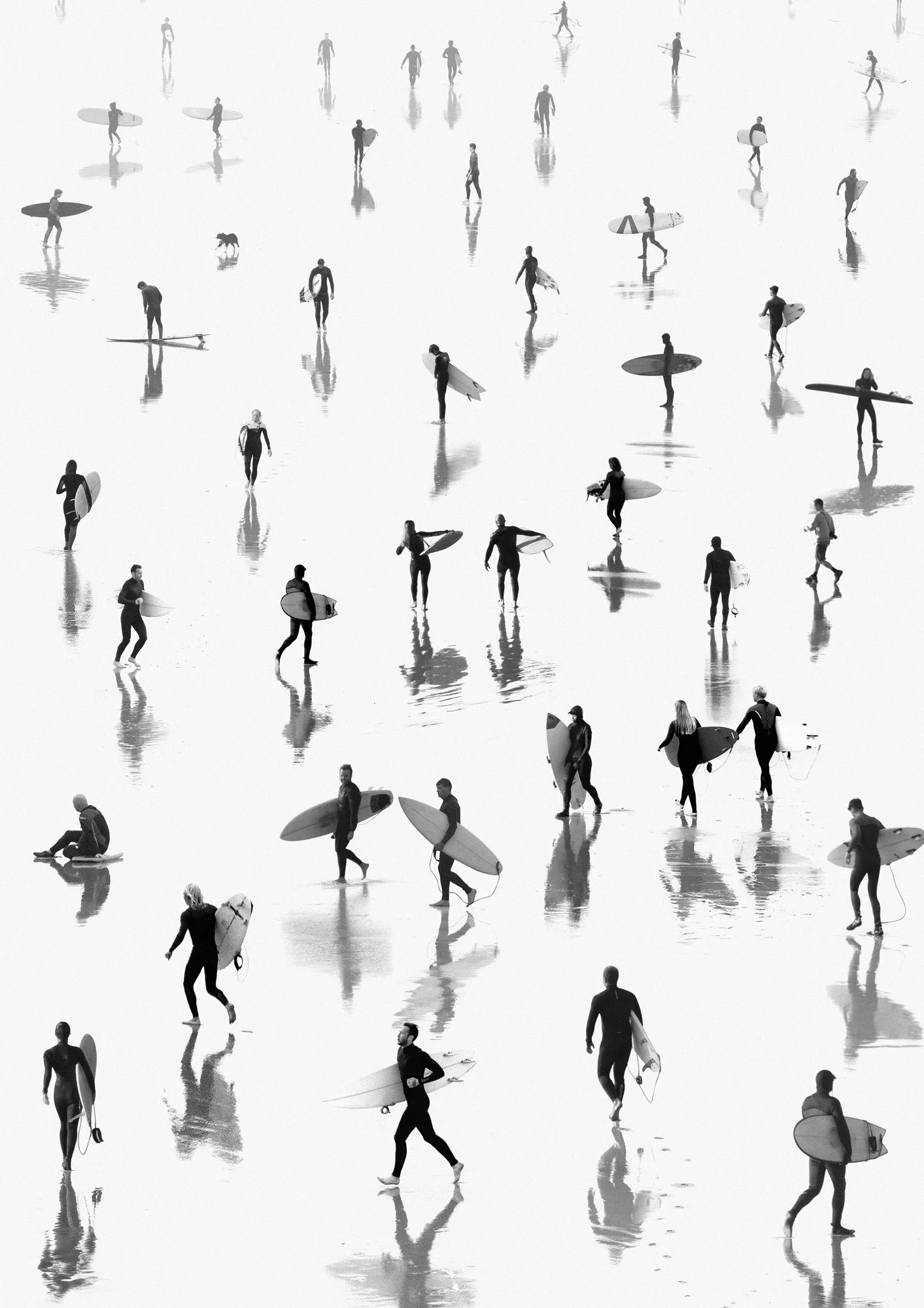 Society - Steins.jpg