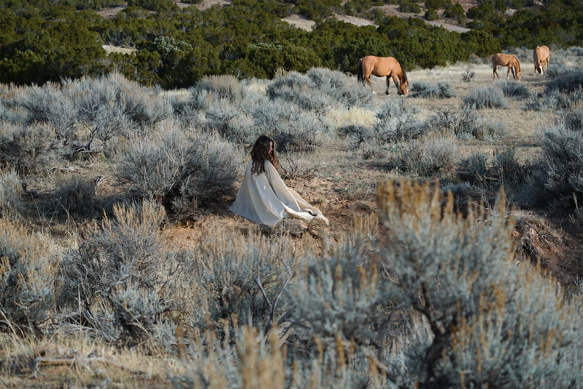 DTHEWES_Sagebrush.jpg