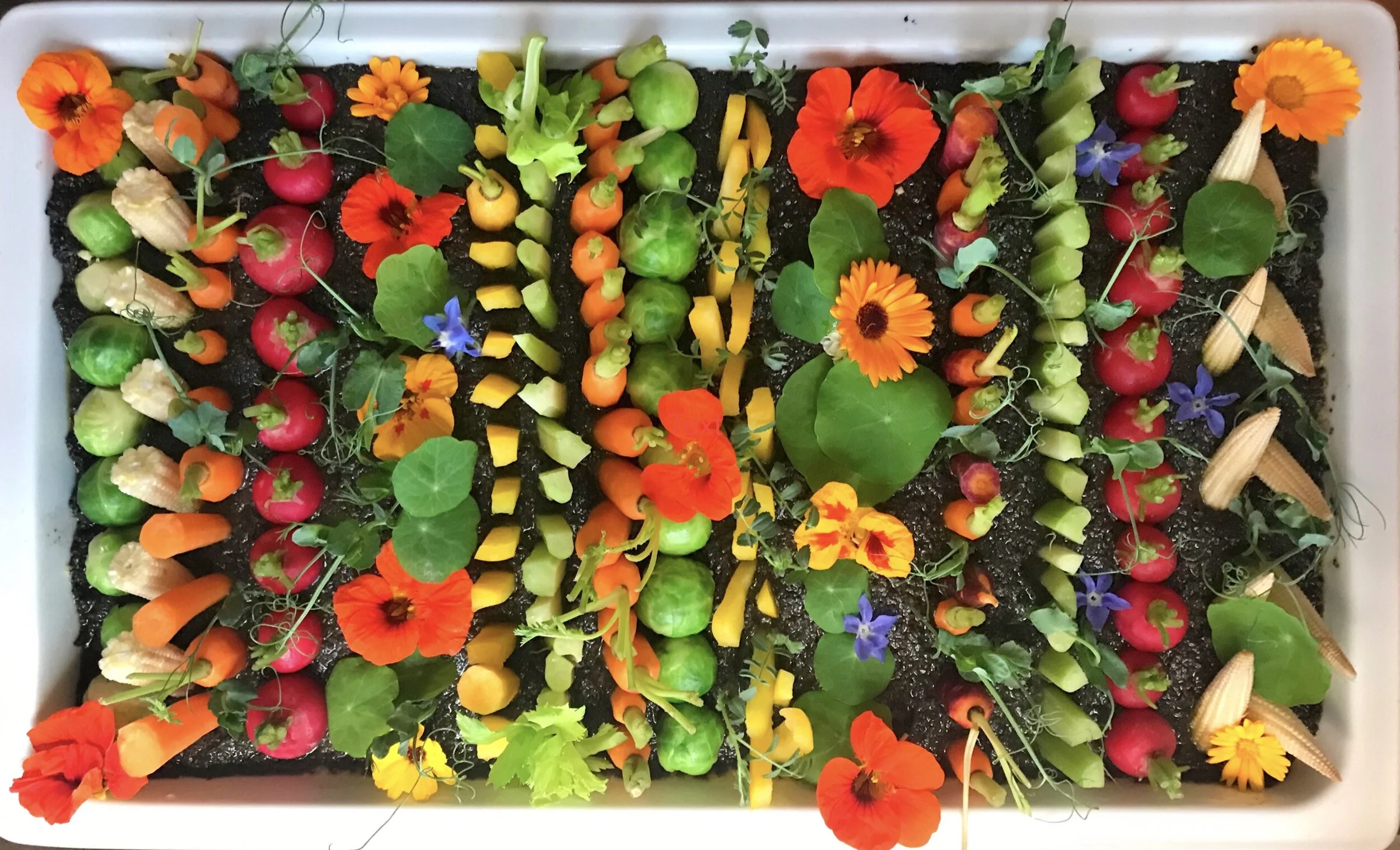 exif_temp_image 61.JPG