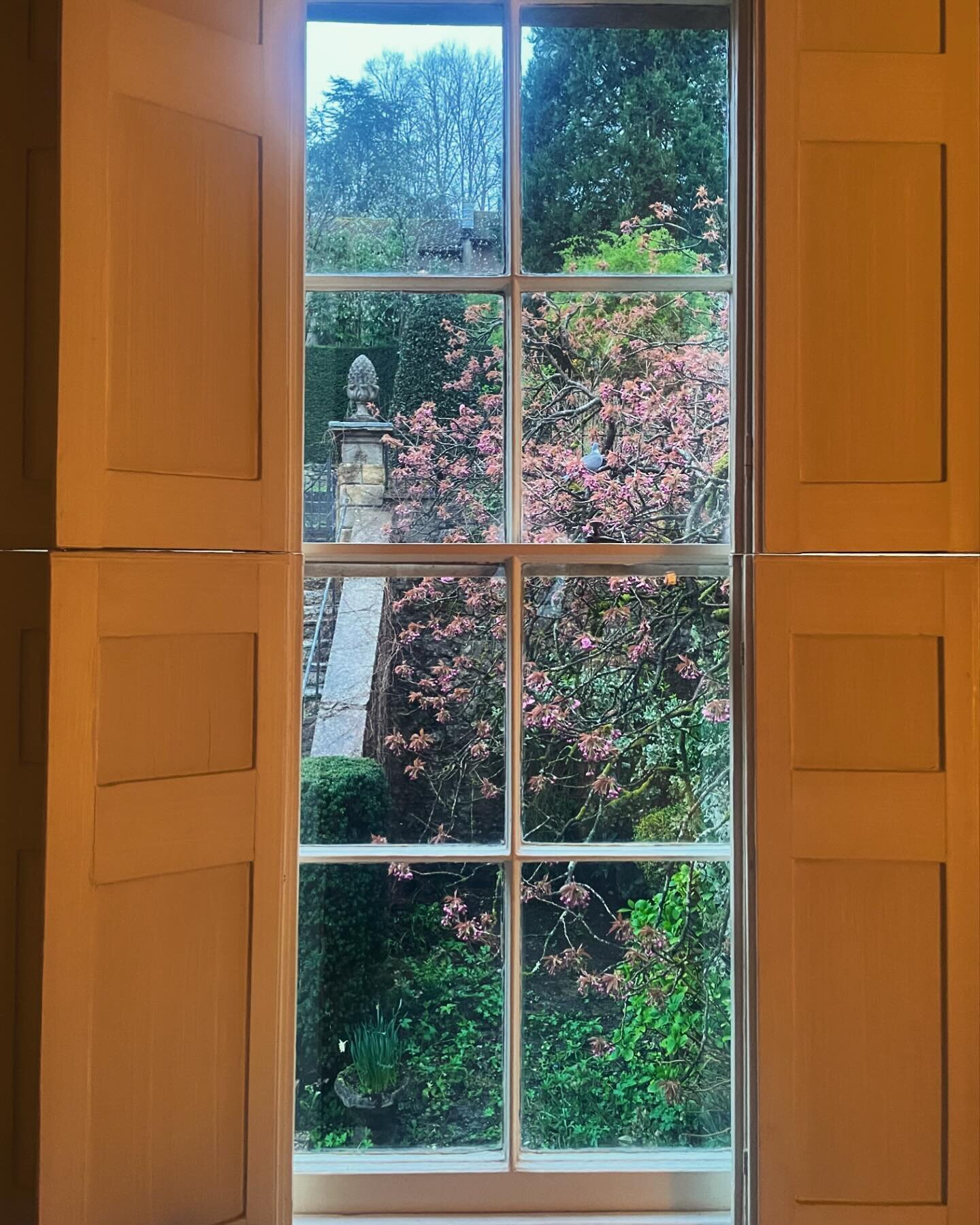 I never tire of this view from the bedroom in my parents' house. The almond tree almost in bloom.