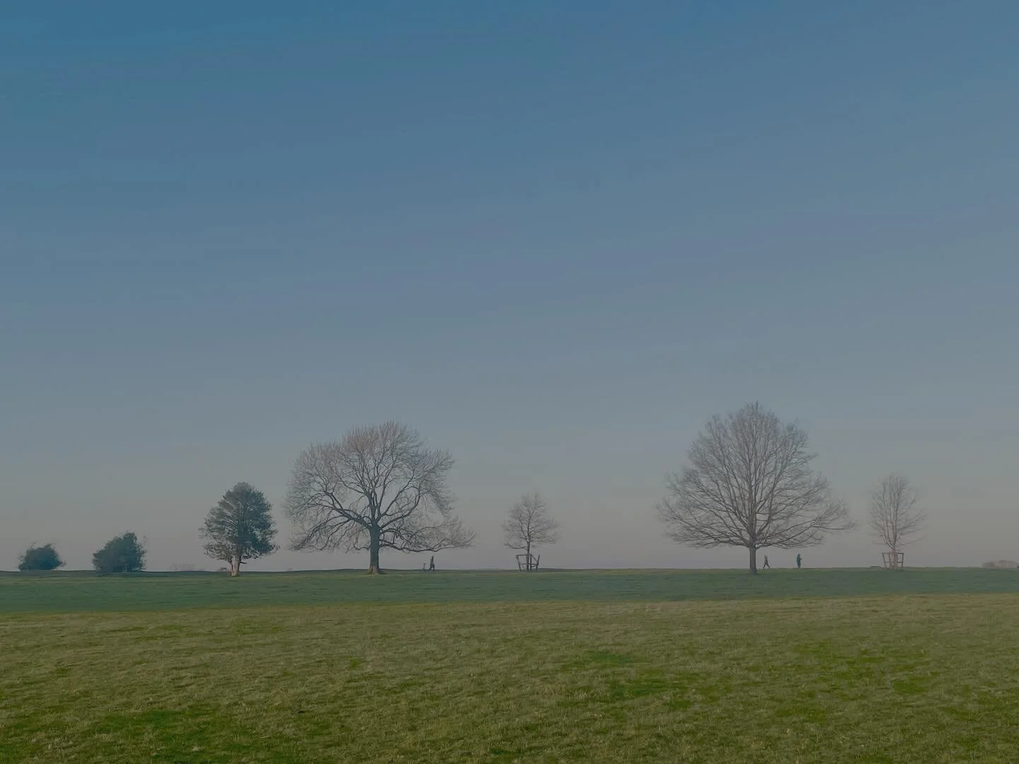 A beautiful Cotswolds family Christmas. Short of a dusting of snow, the weather couldn't have been more perfect. 

One of my presents was to get one of my children to make all my phone apps greyscale, with the exception of a couple, to cut down on mi