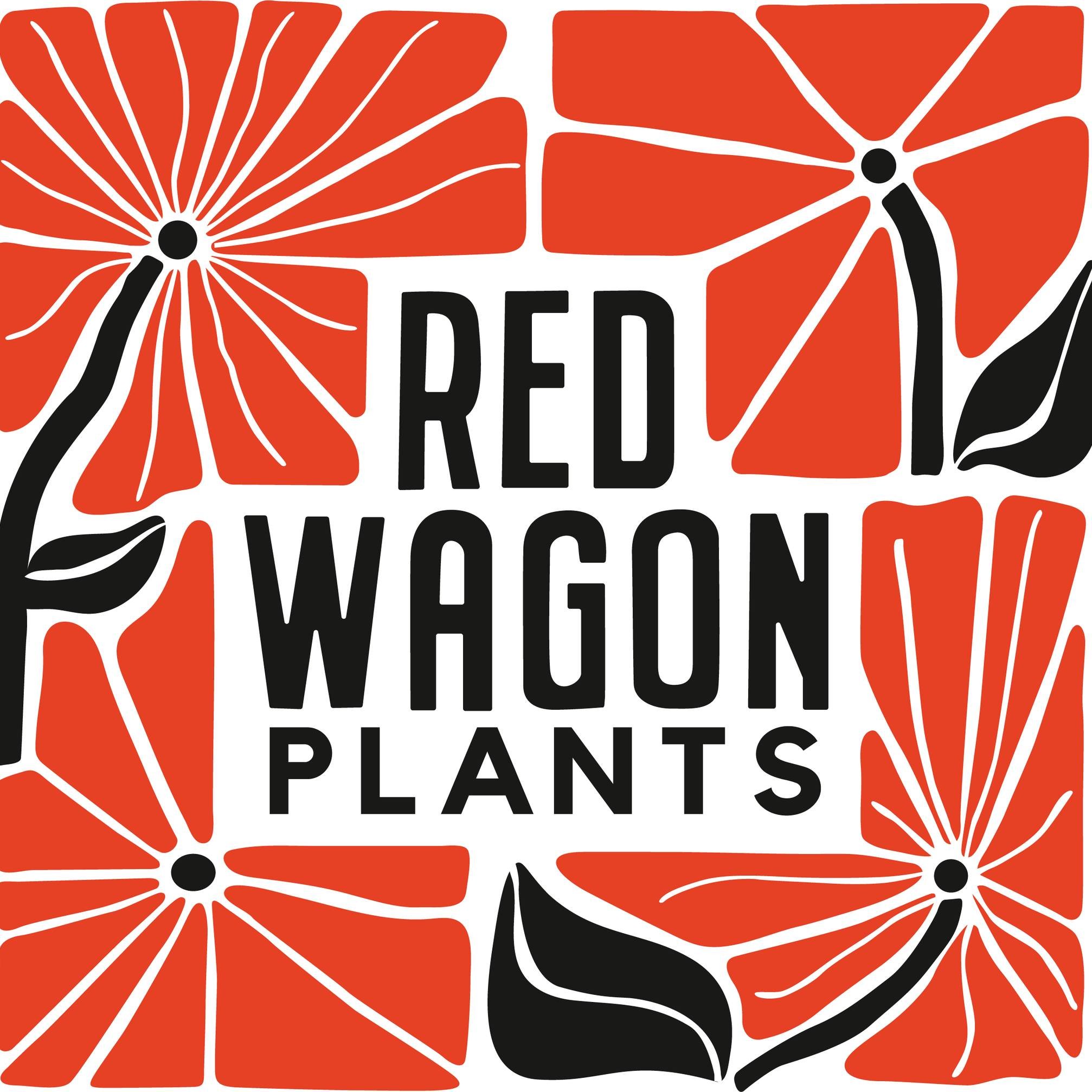 Red Wagon Plants