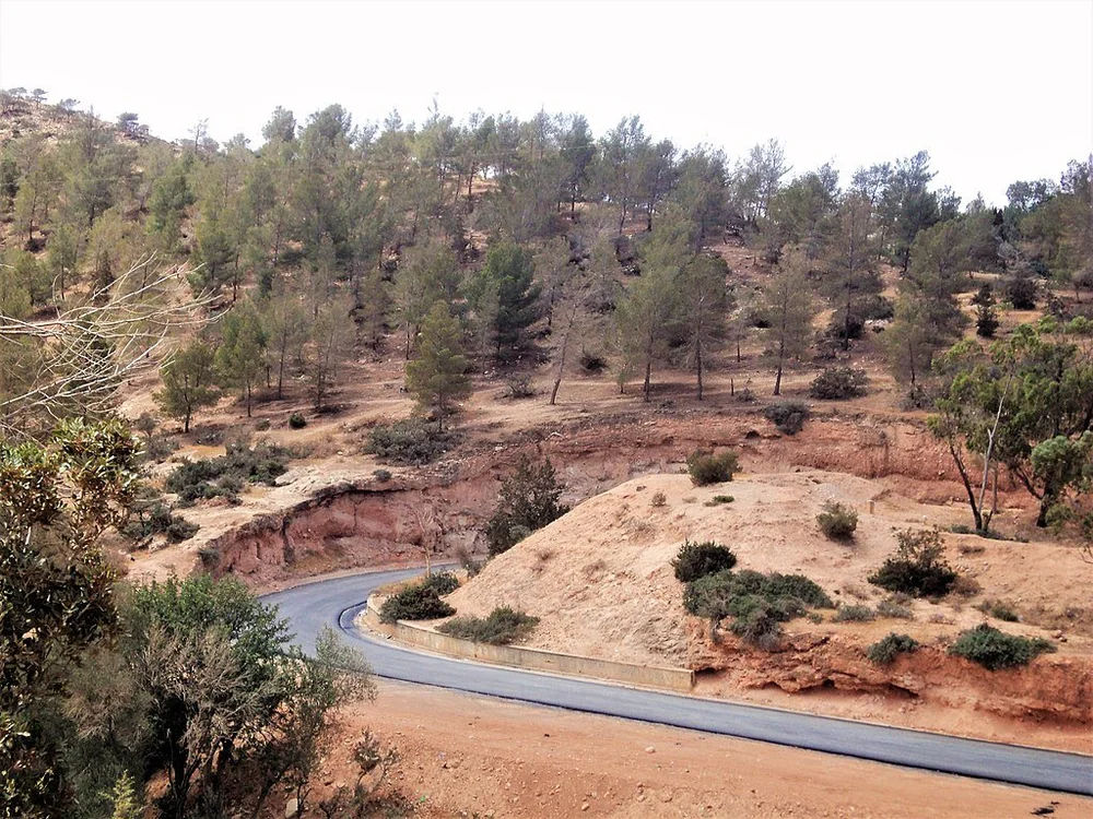 Environment — Libyan Heritage House