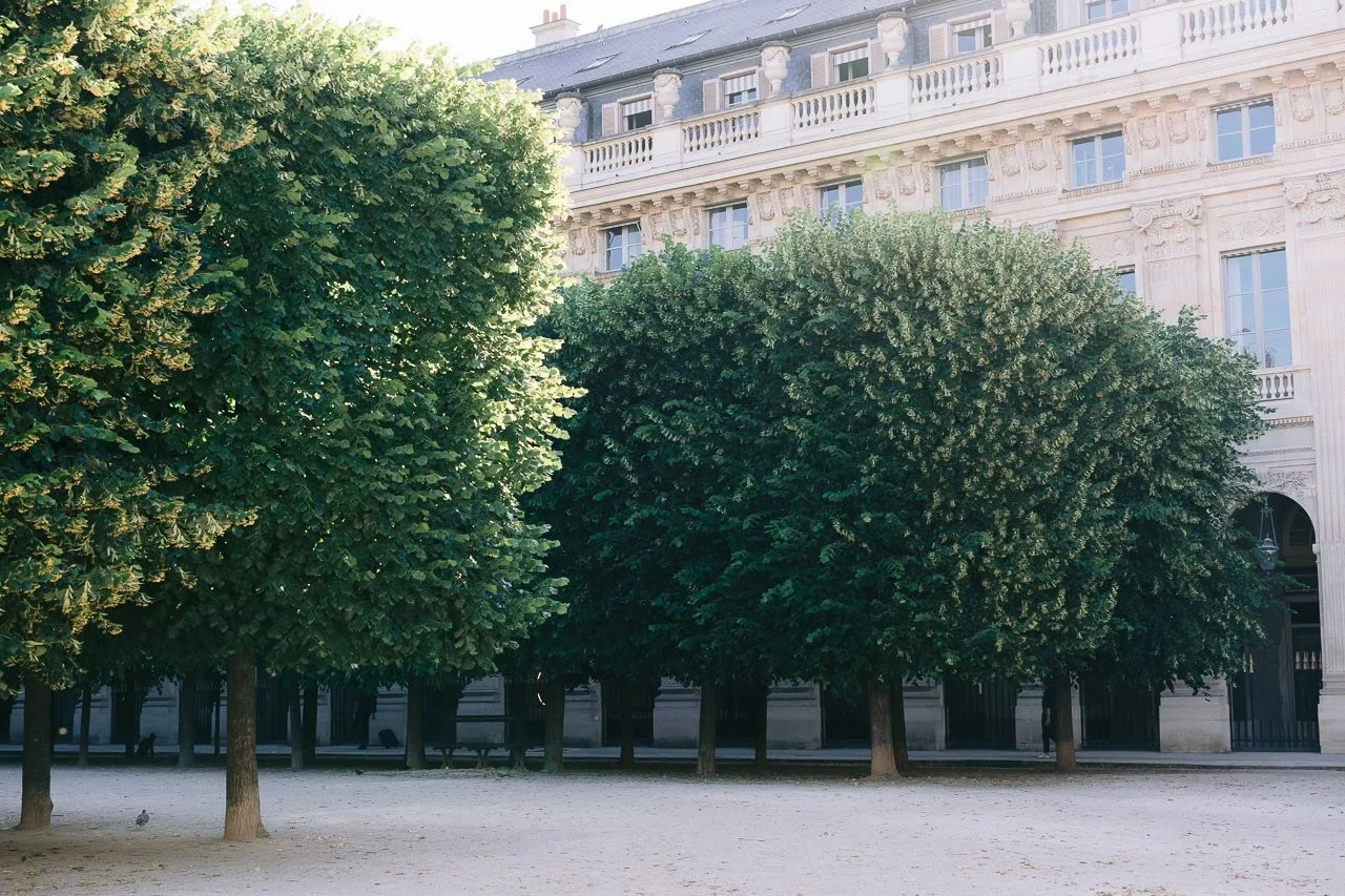 Gardens at the Palais Royal