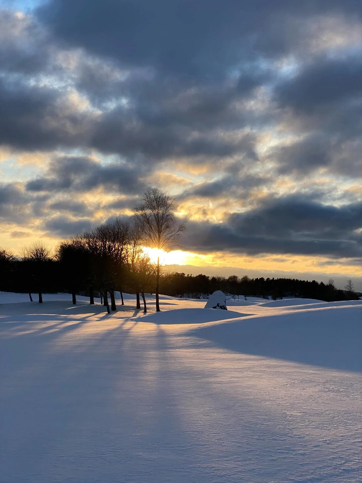 We have had the most beautiful winter weather this week. A lot of snow for the westcoast and this picture is from a little cross country skiing outing yesterday. And today started with sauna and dips in the ice slushed sea. Hope you are enjoying the 