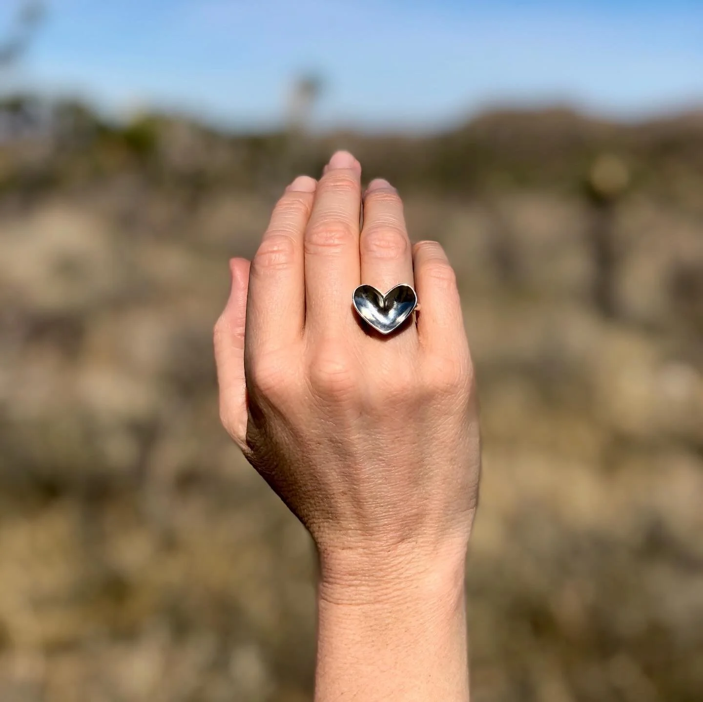 Let&rsquo;s bring in the heart! ♡

#wildhearts #heartjewellery #silverhj&auml;rta #guldhj&auml;rta #solidheart