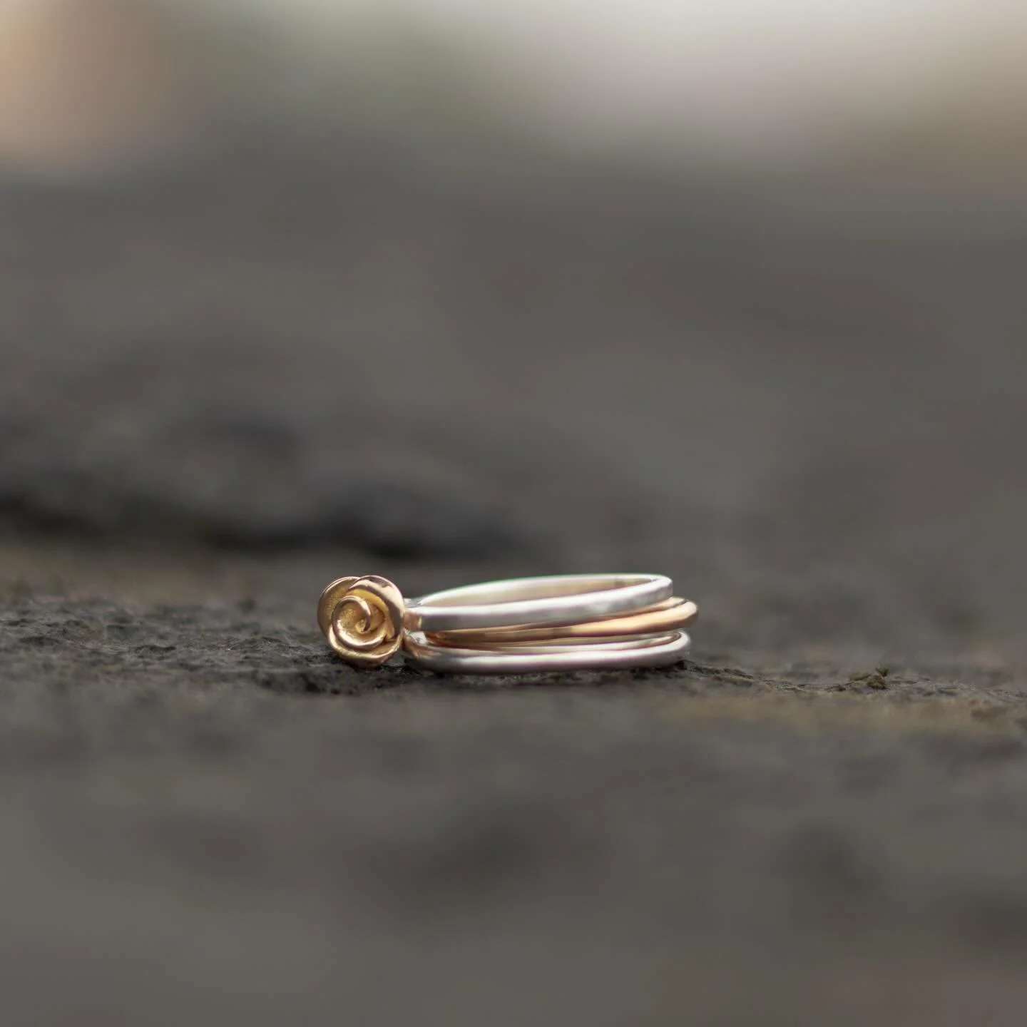 Gold rose ring on silver, together with gold and silver round bands♡

#goldrose #rosring #guldros #roserings #guldsmed