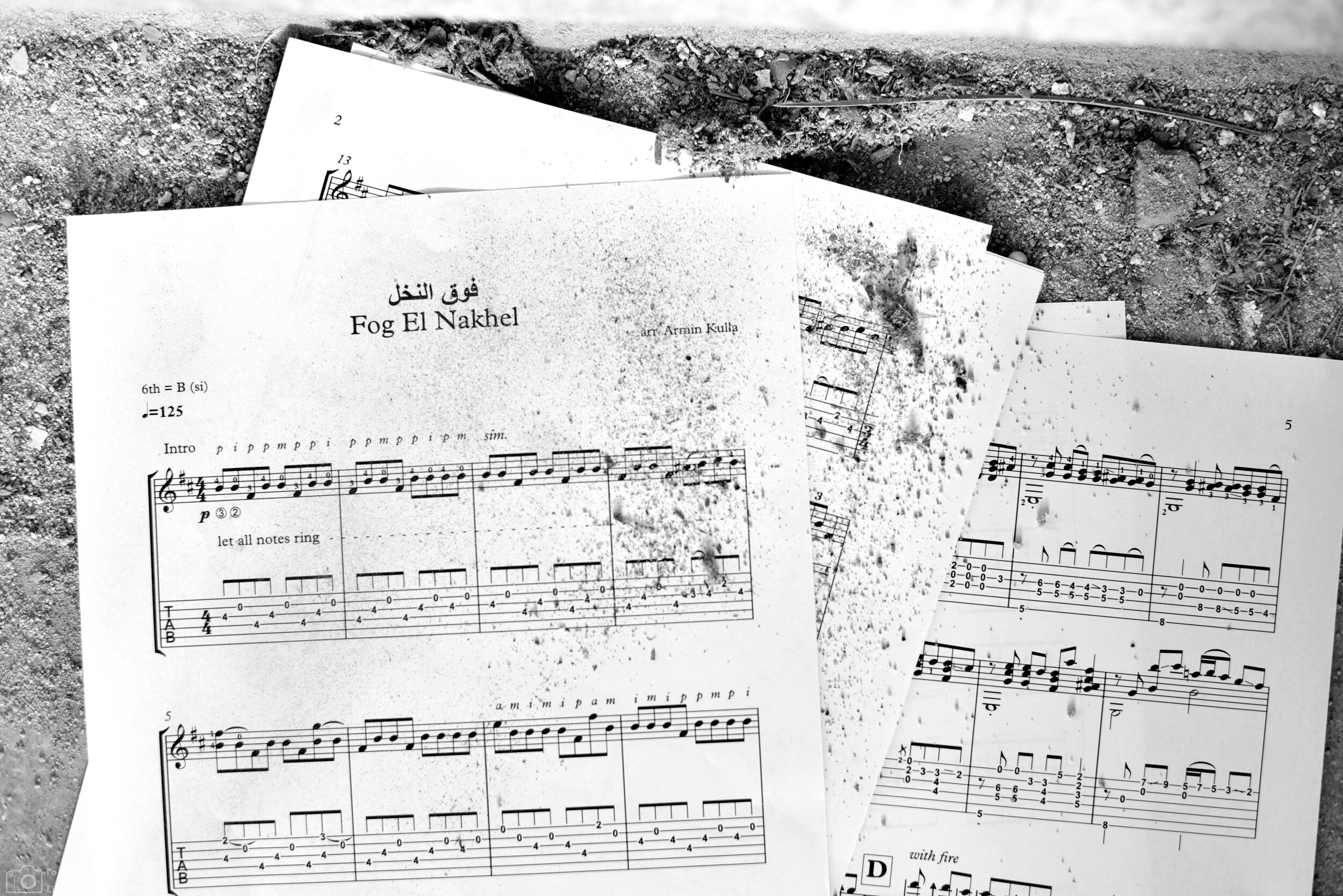 Fok El Nakhel - فوق النخل