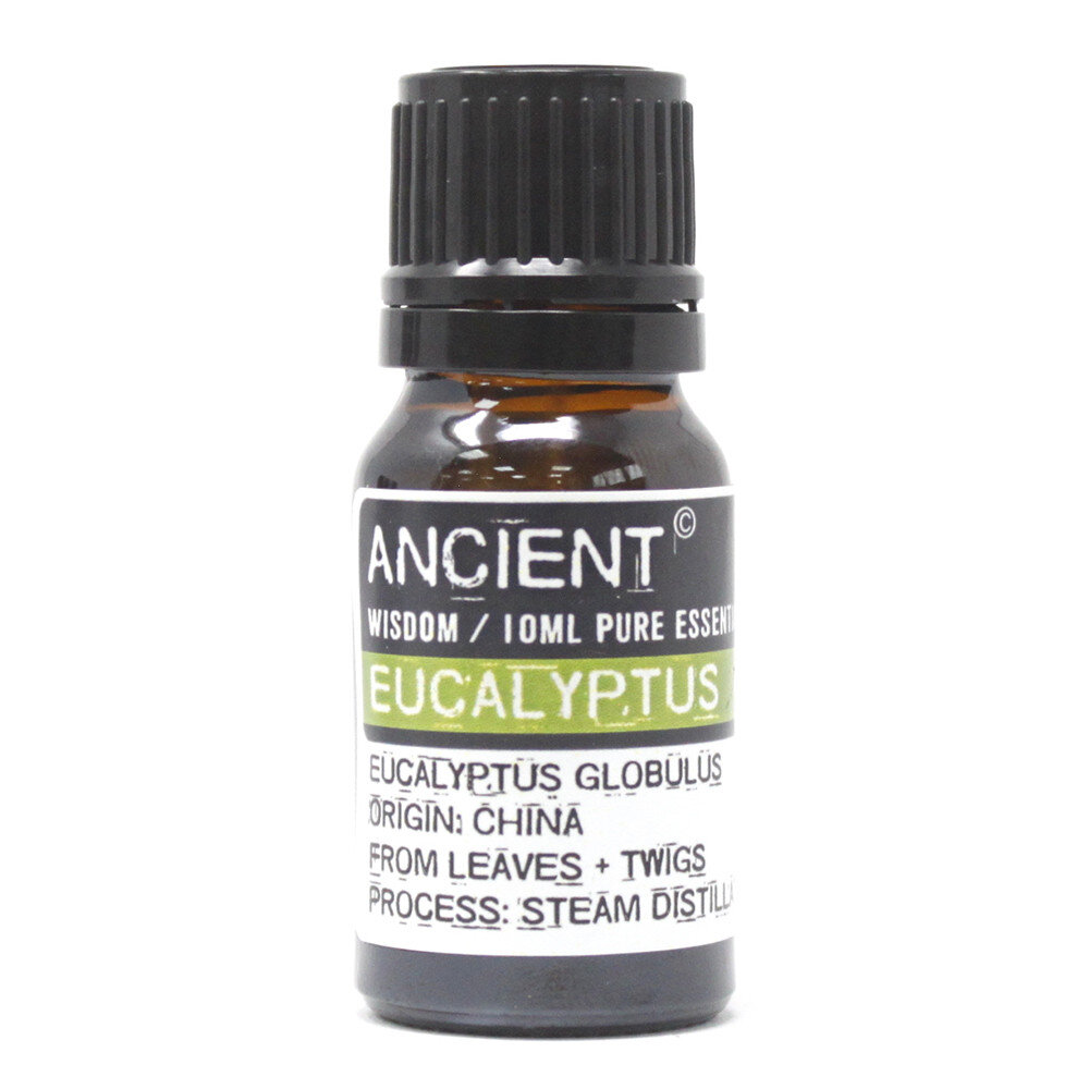 Eucalyptus.jpeg