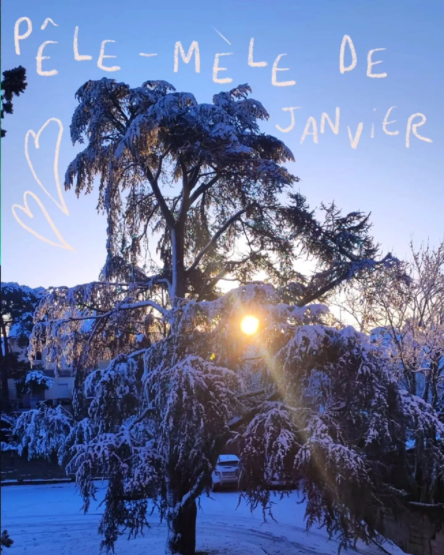 ☀️Retour sur ce mois de Janvier que je trouve toujours extr&ecirc;mement &eacute;prouvant, encore plus depuis que je suis ind&eacute;pendante. Ces photos refl&egrave;tent assez mal mon &eacute;tat mental et ce qui se joue en moi en ce moment. Mais el