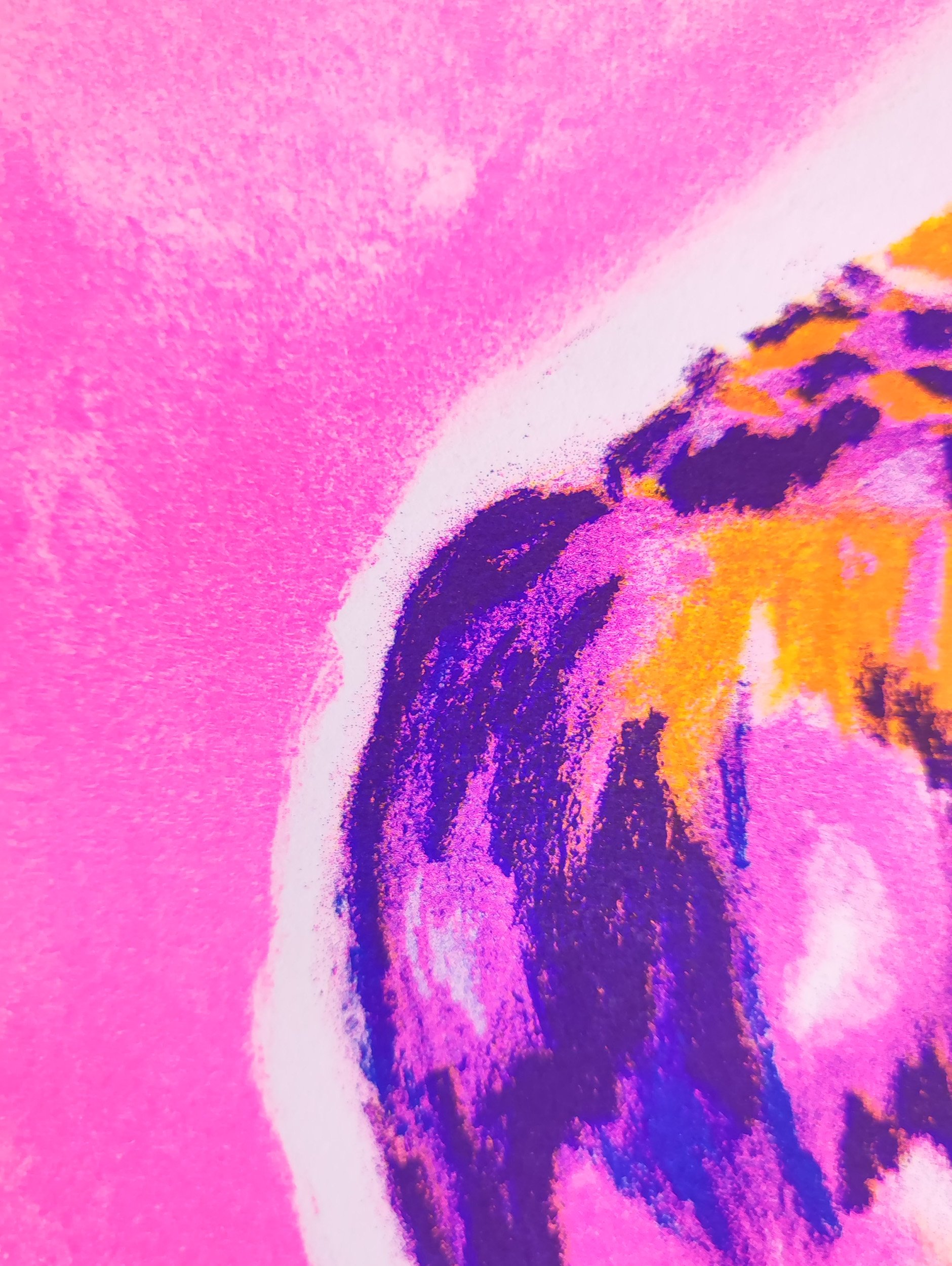 geraldine_josephine_risographie_coquillage_A4_detail2.jpg