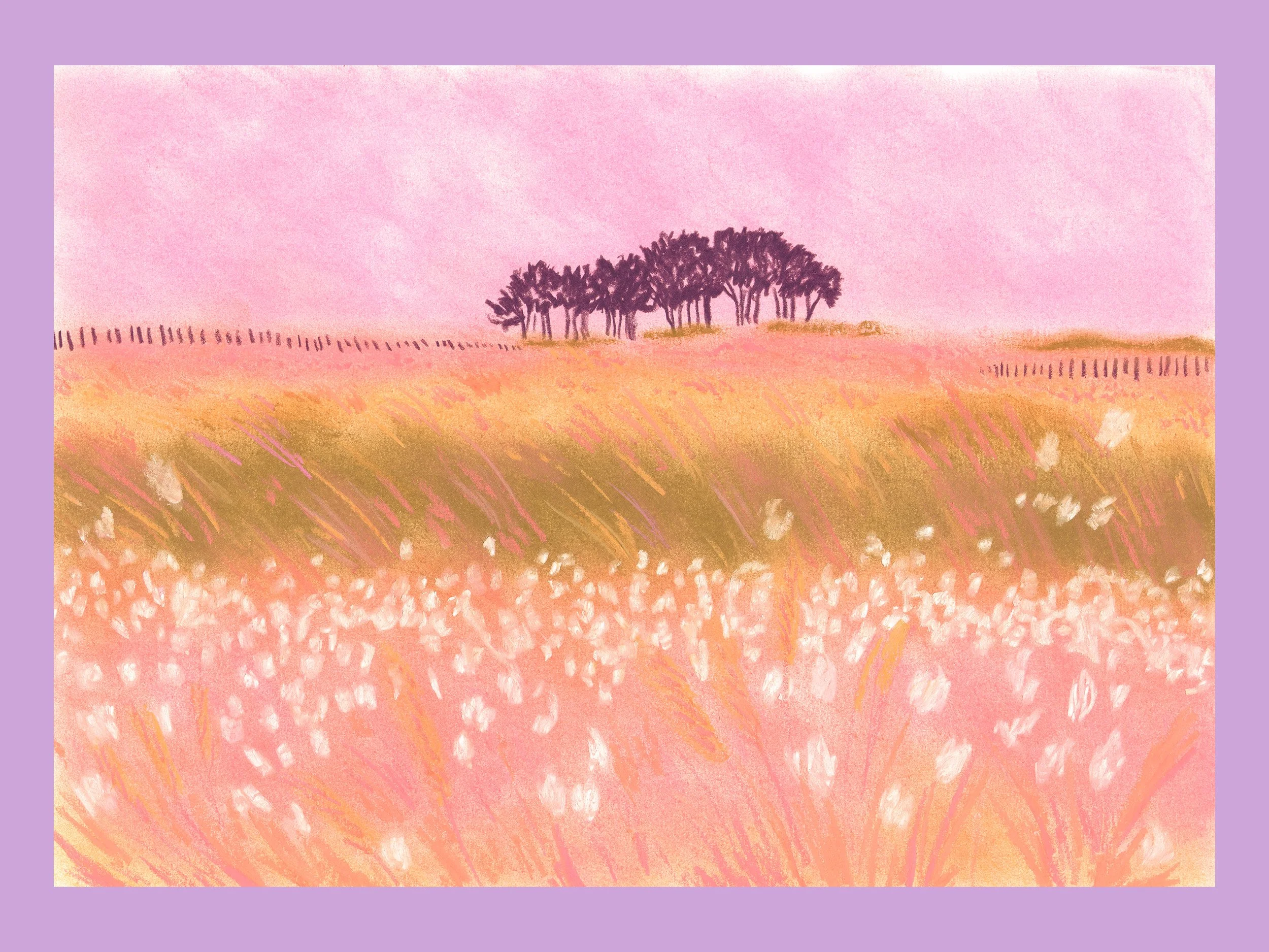 Tirage d'art forêt douce