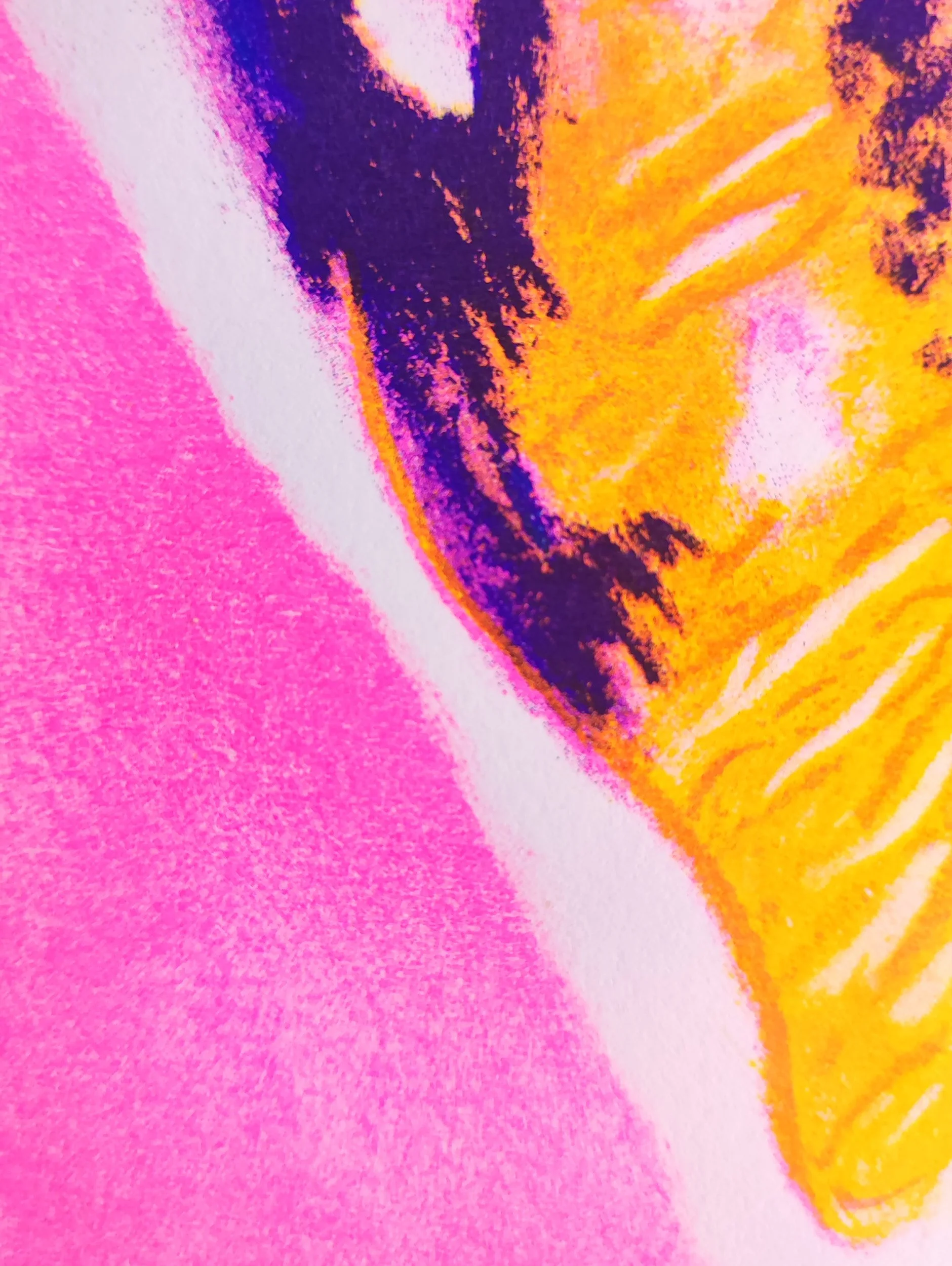geraldine_josephine_risographie_coquillage_A4_detail1.jpg
