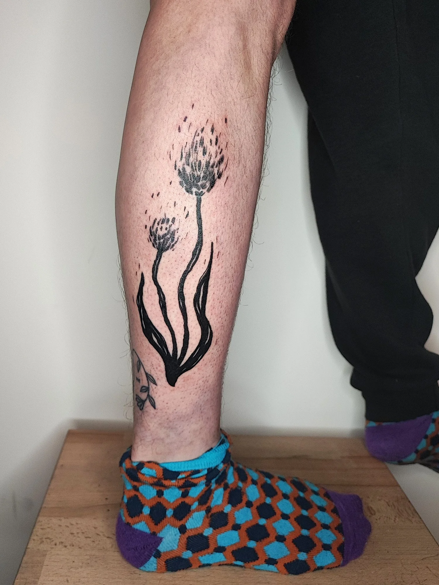 geraldine_josephine_tatoueuse_nantes_chaton_des_dunes.jpg