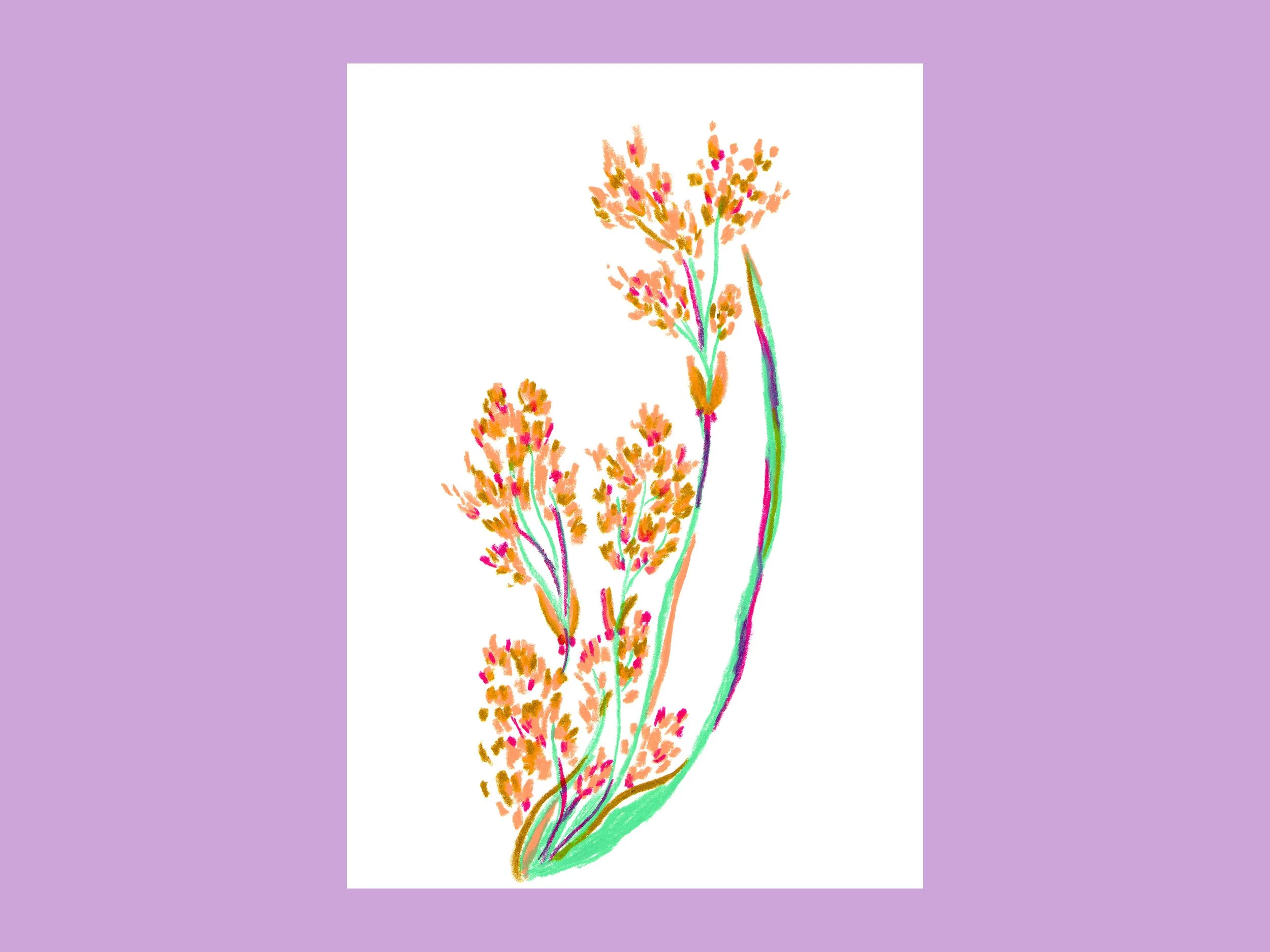 geraldine_josephine_tirage_art_maison_ciel_plante_multicolore.jpg